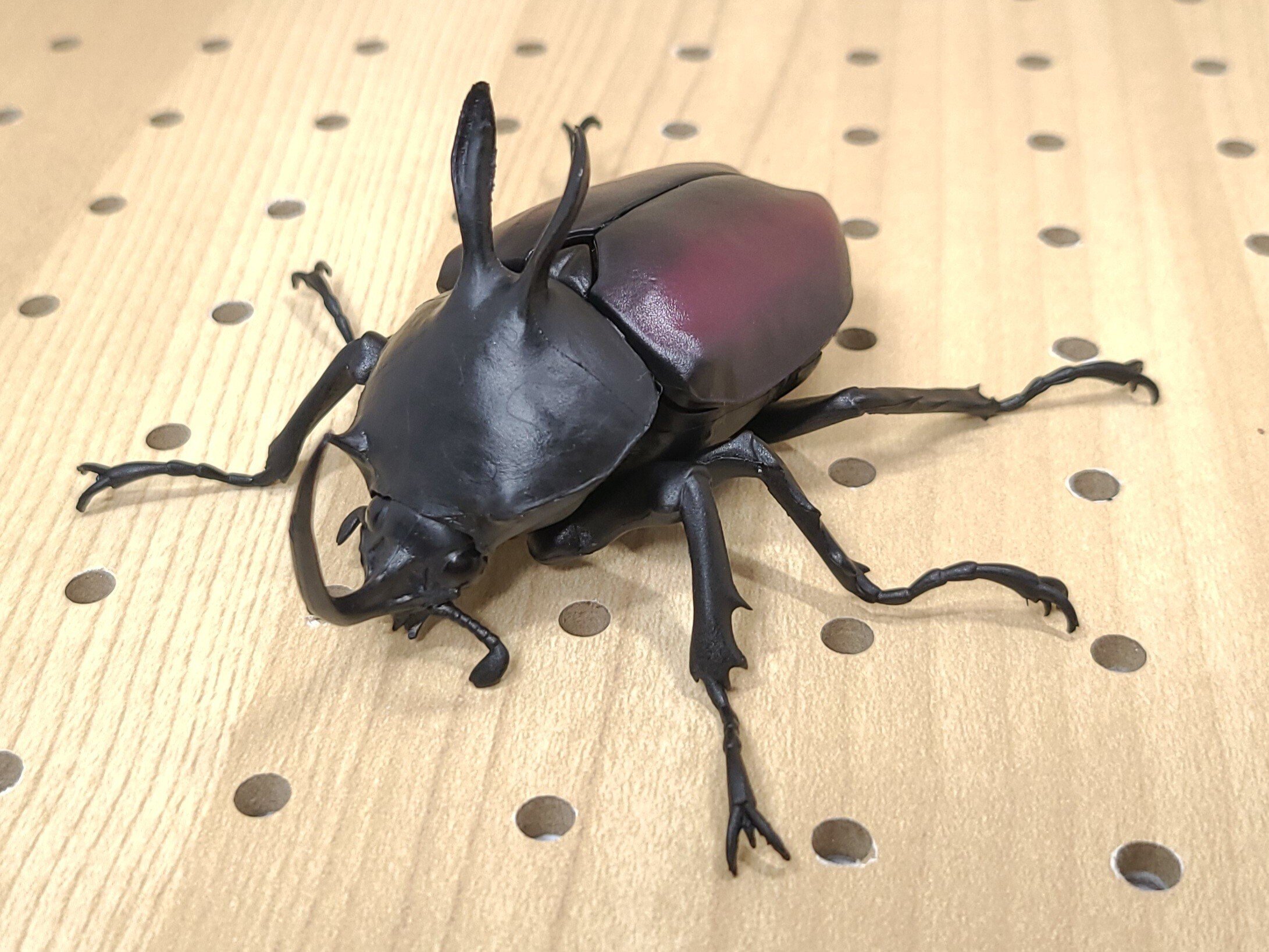 いきもの大図鑑 かぶとむし05 レビュー｜ウンウンペンチウム