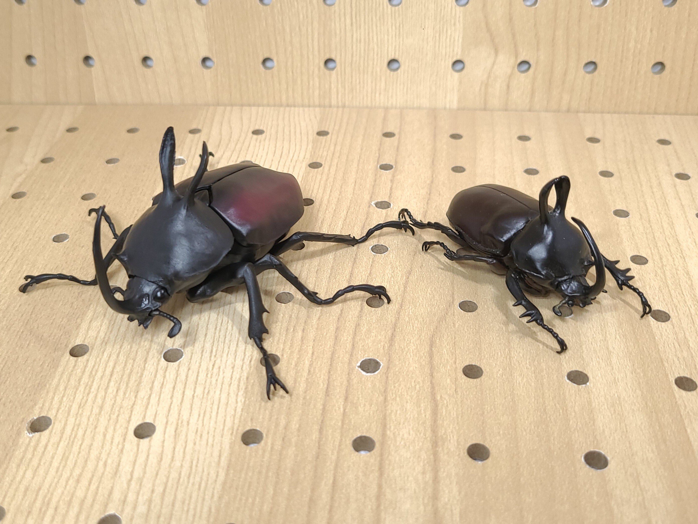 いきもの大図鑑 かぶとむし05 レビュー｜ウンウンペンチウム