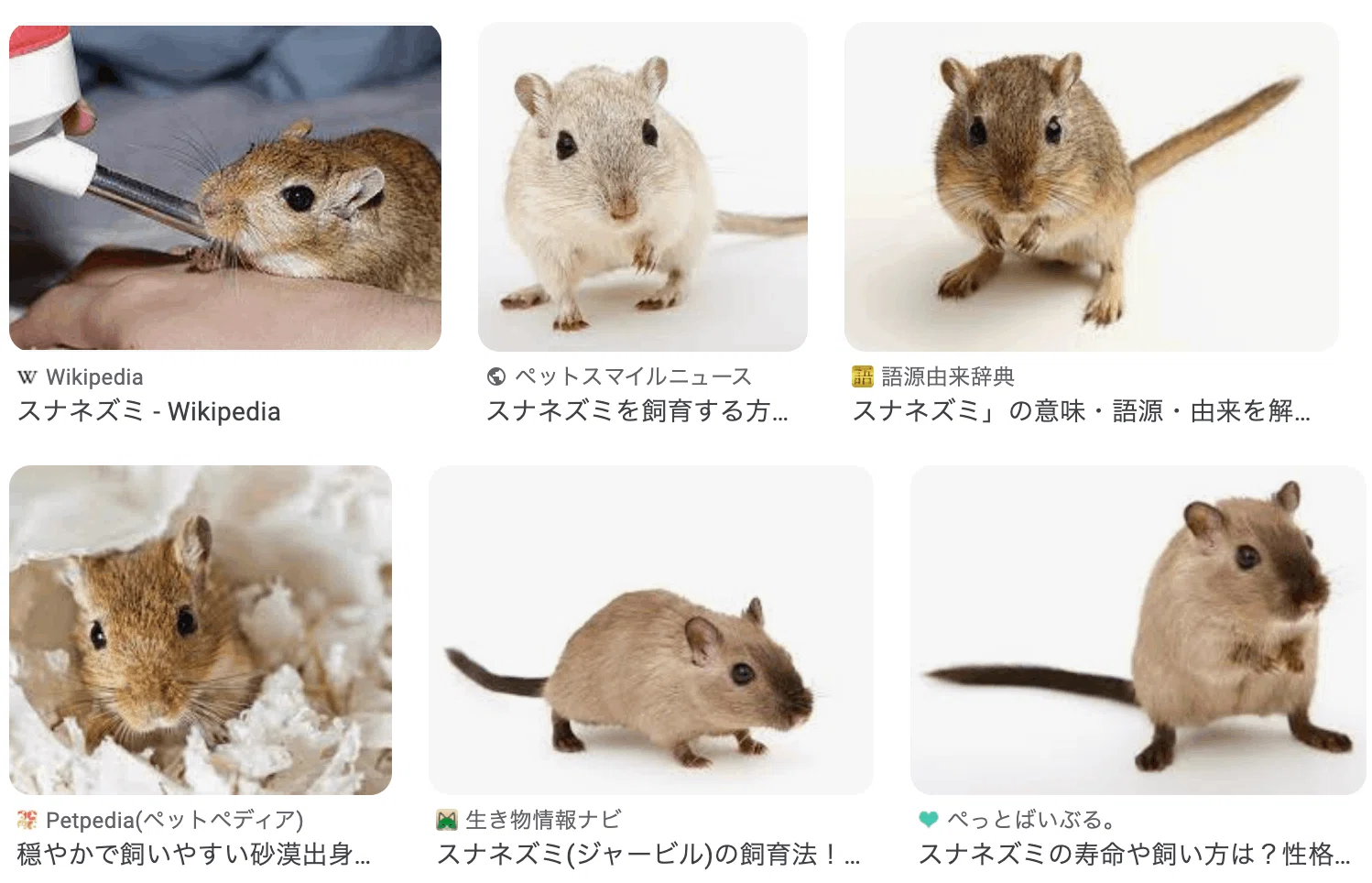 当時のメディア報道・掲載写真