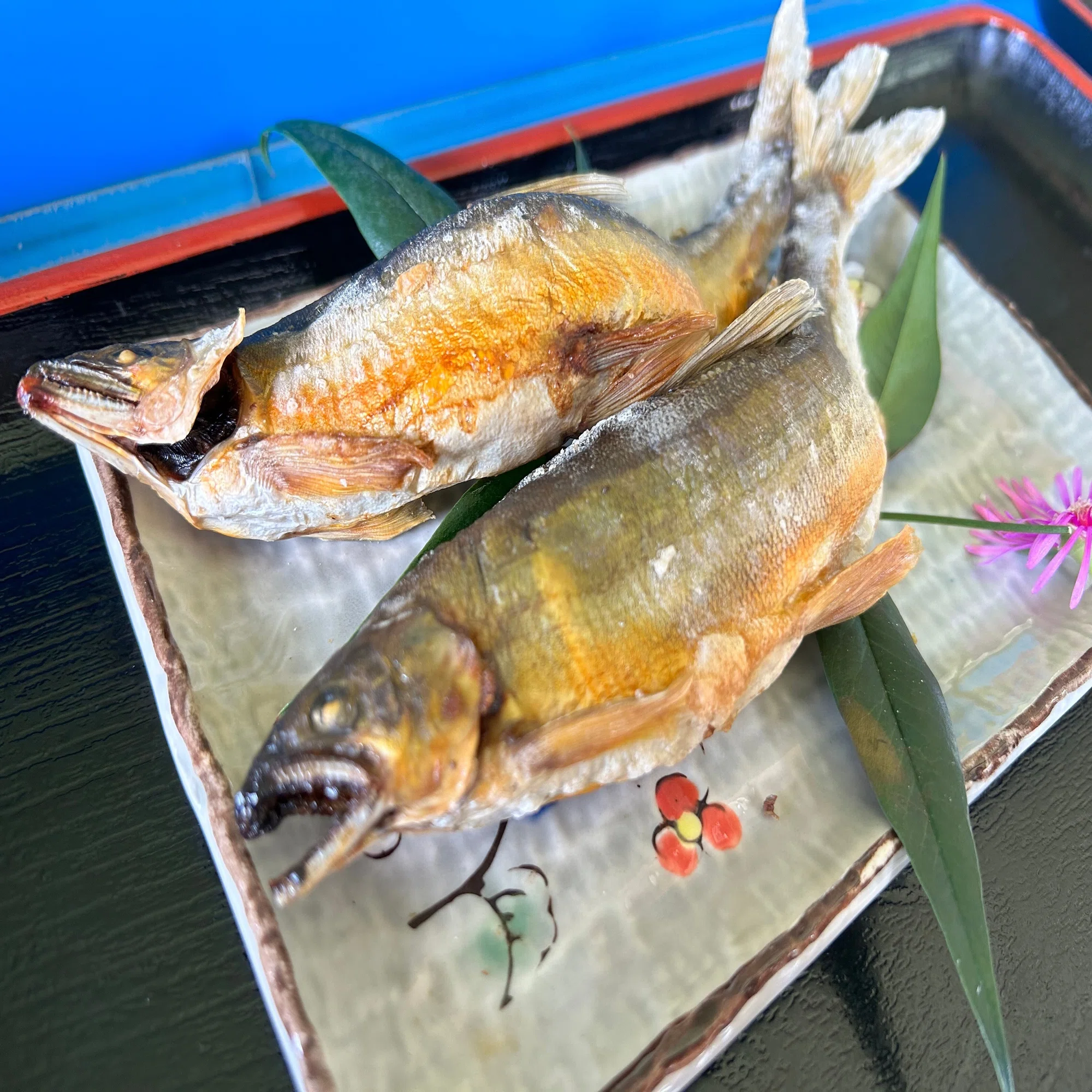 関西 鮎 塩焼き