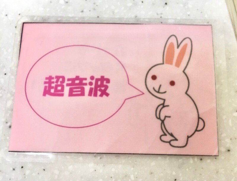 小ネタ】動物園にあるうさぎの絵は目の位置が忠実｜ヒル