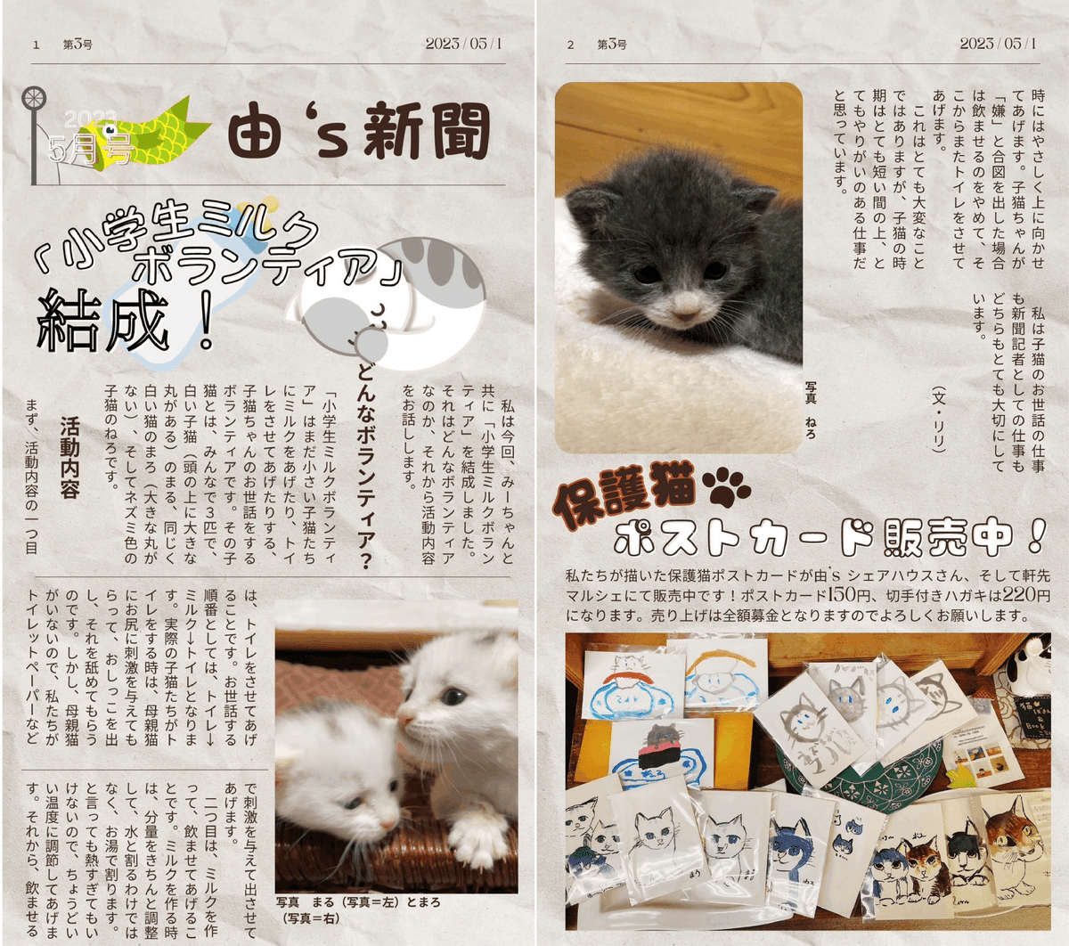 犬猫保護活動家ミルク 犬猫保護活動家ミルク様