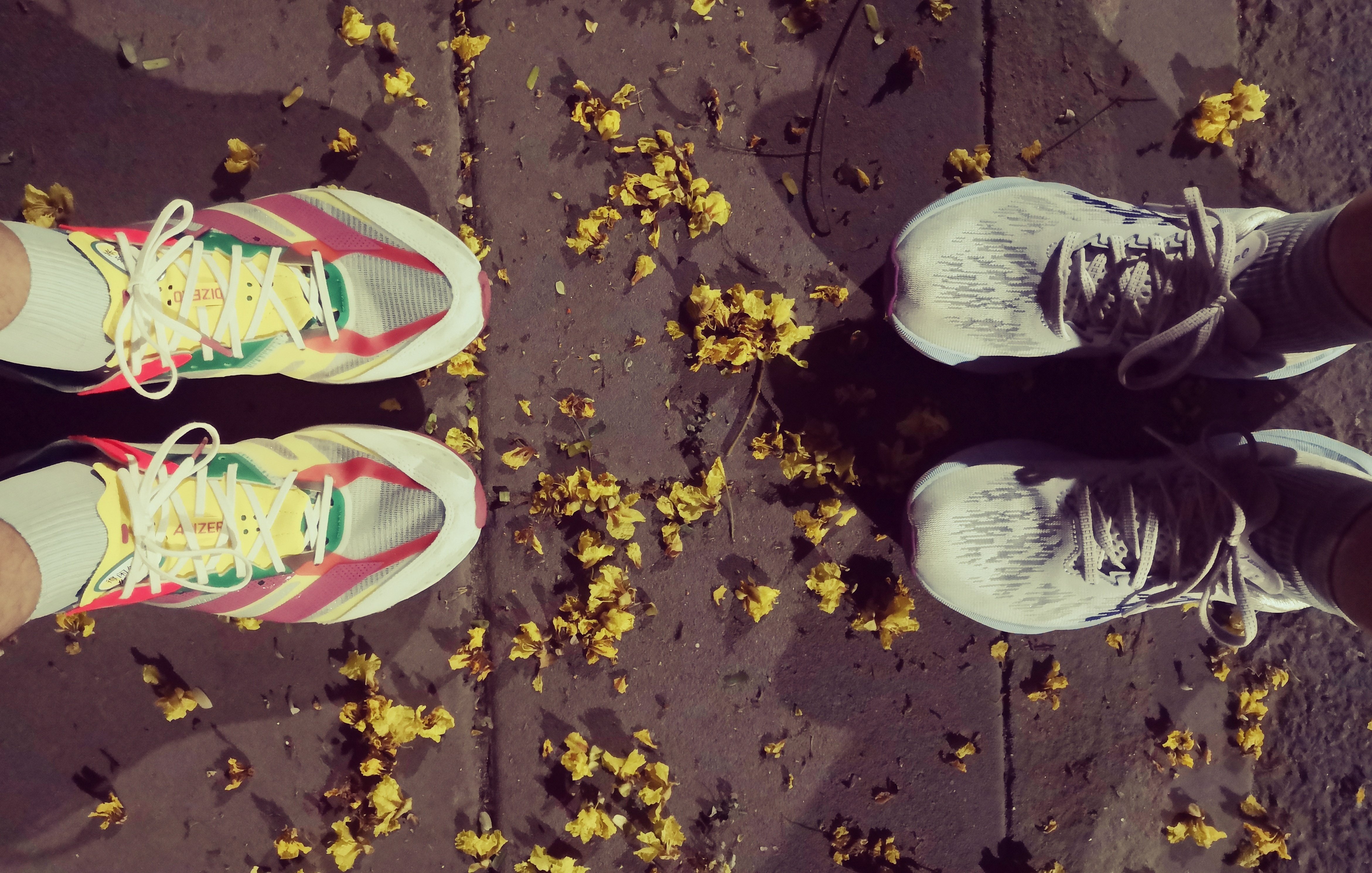 公園で撮った夫と私の足