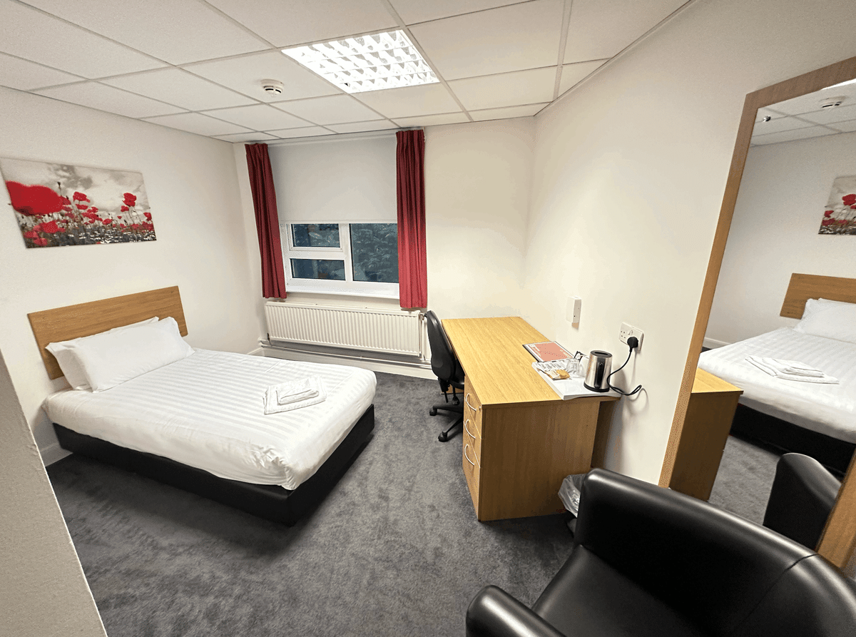 Contemporary LINGUISTICS　現代的な言語学 Contemporary LINGUISTICS 現代的な言語学 現代言語学の潮流 - 株式