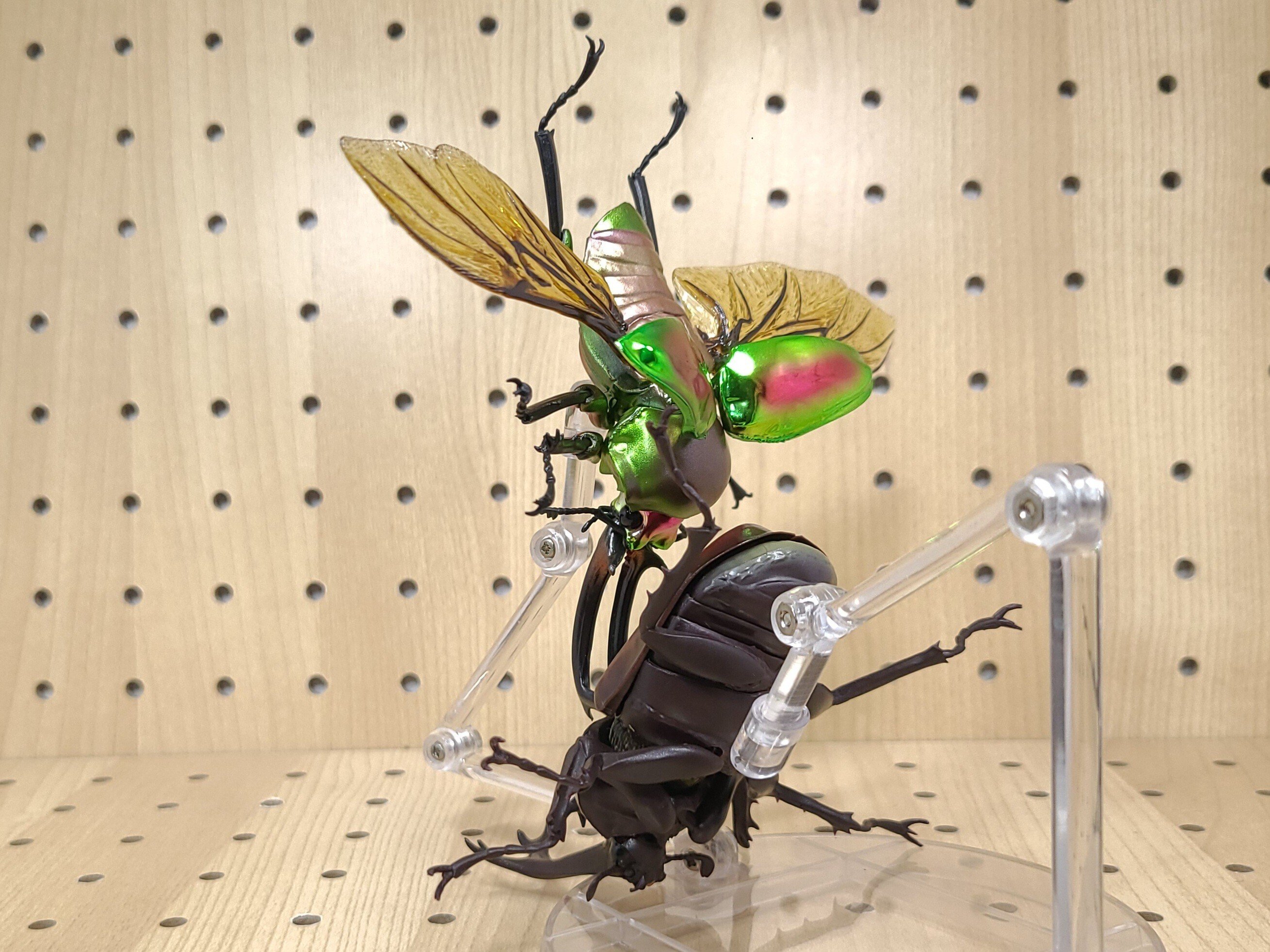 Amazon.co.jp: 甲虫王者ムシキング ニジイロクワガタ 2008夏