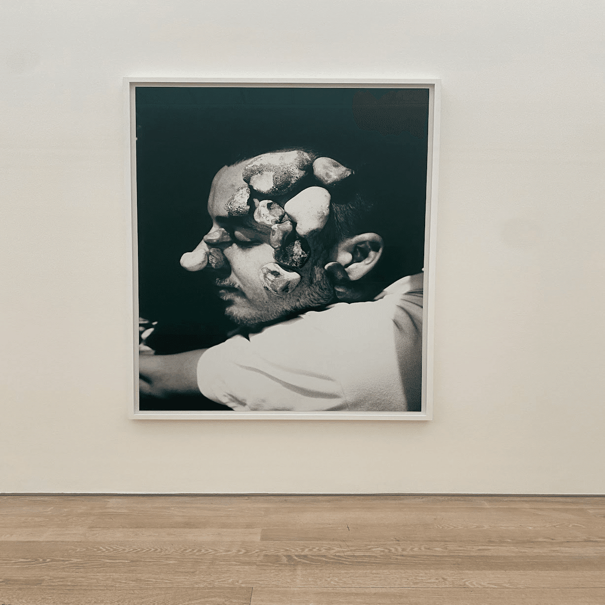 現代写真マガジン「POST/PHOTOLOGY」#0007／ピエール・ユイグ《Mind's