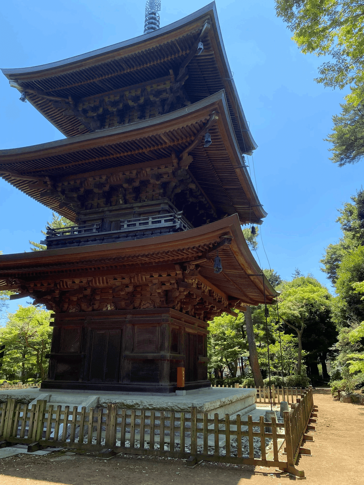 世田谷区】豪徳寺|nama 世田谷区】豪徳寺|nama