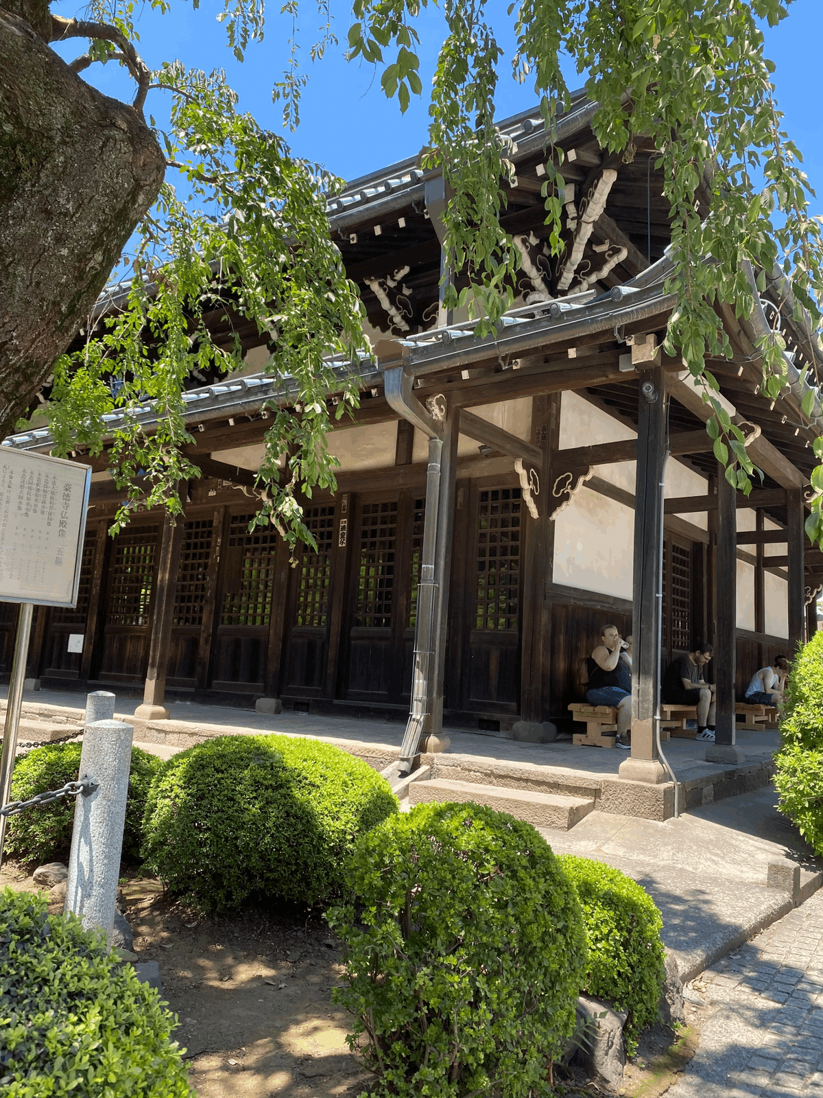 世田谷区】豪徳寺｜nama