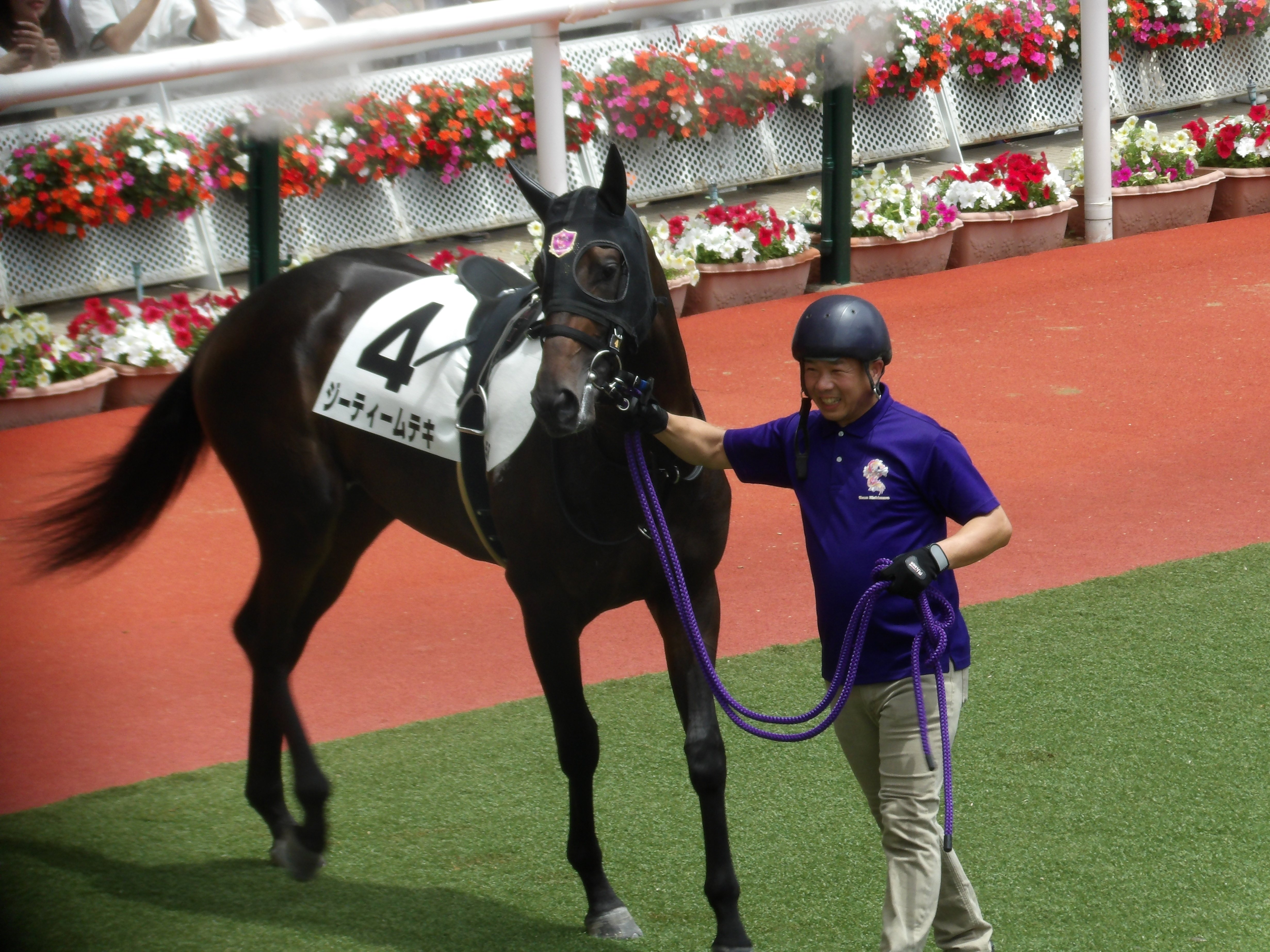 宝塚記念優勝馬ピンバッジセット