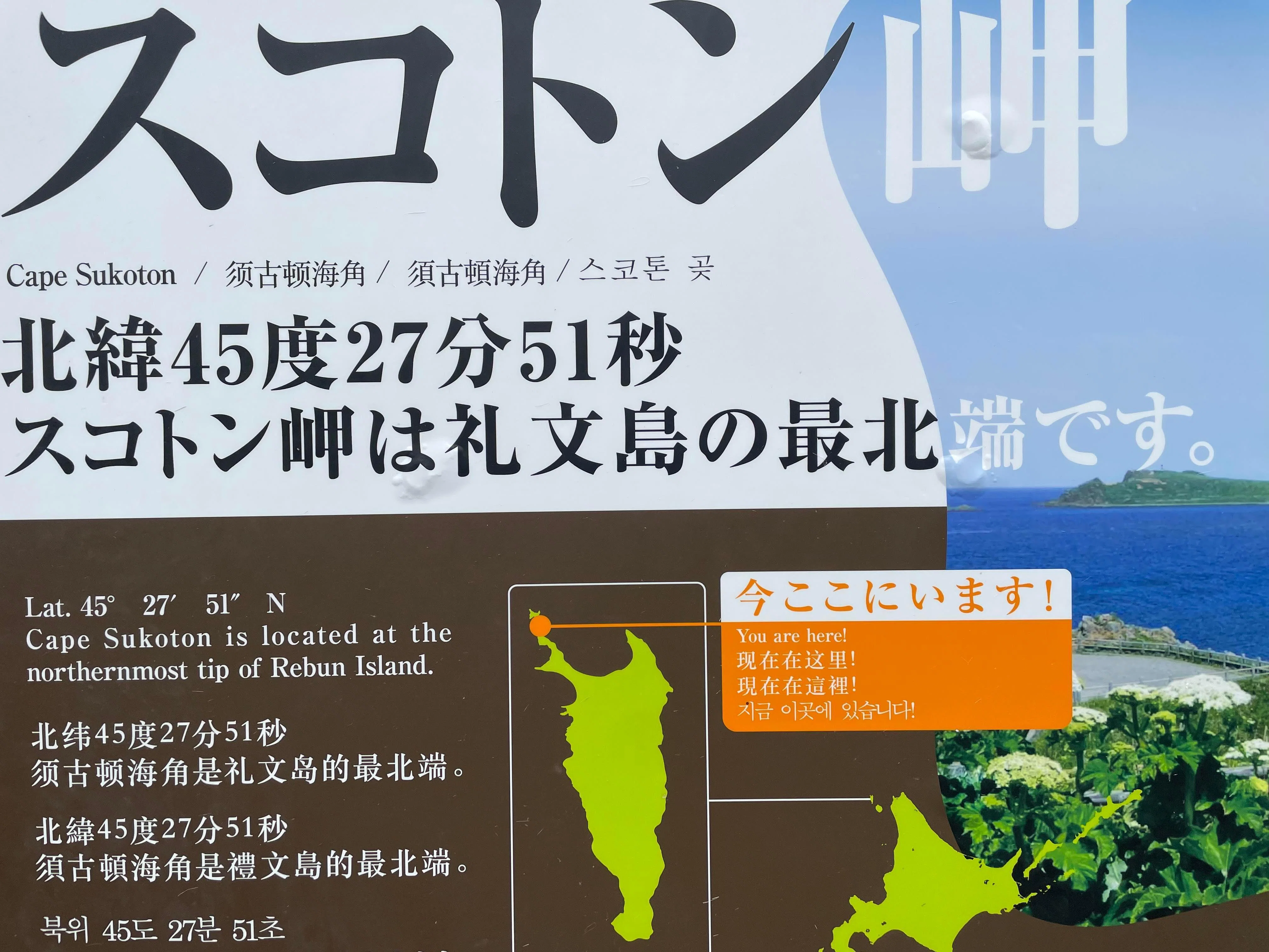 一度は食べないと損⁉6500円のウニ丼！礼文・利尻島旅行【北海道