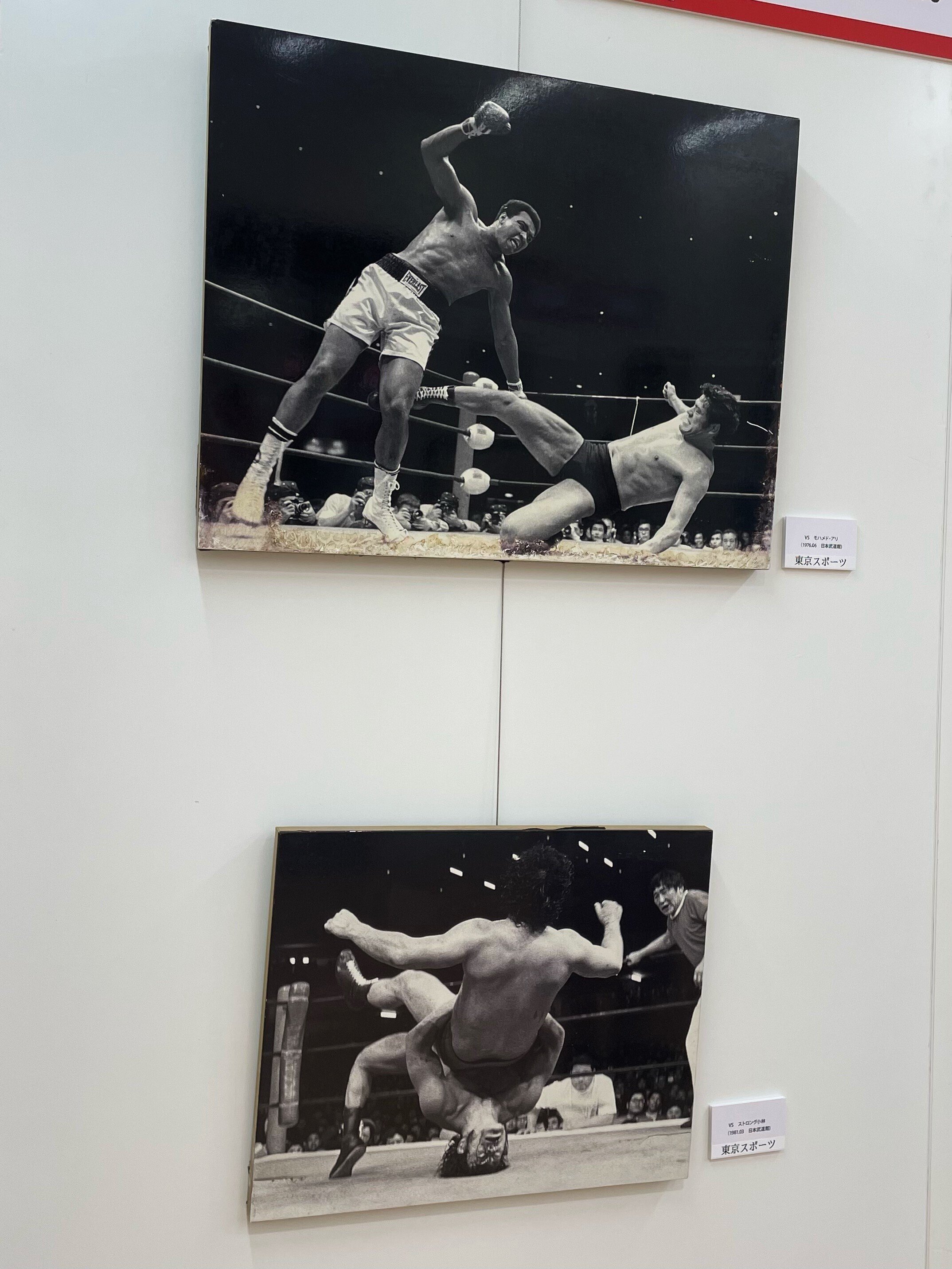 燃える闘魂 アントニオ猪木展｜五辺宏明