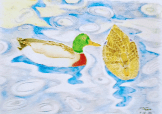 模写の風景 画家の心 第18回「福田平八郎 鴨 1935年」｜黒川 正弘