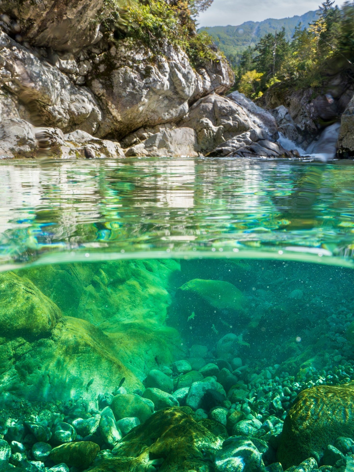 ☆希少☆山岳写真集 黒部源流 ☆希少☆山岳写真集 黒部源流 紅を紡ぐとき』晩秋の黒部源流、