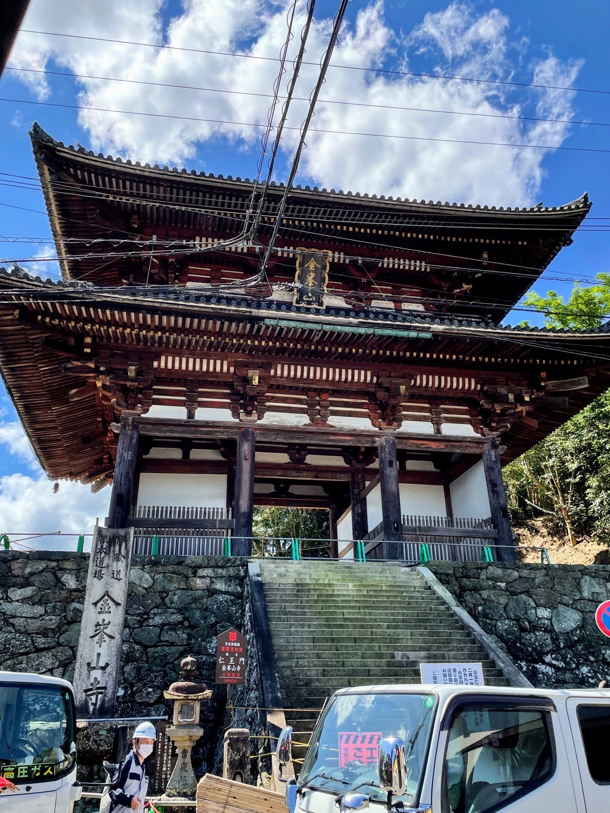 特別公開 金峯山寺仁王門 金剛力士立像 ／奈良国立博物館｜美術館と