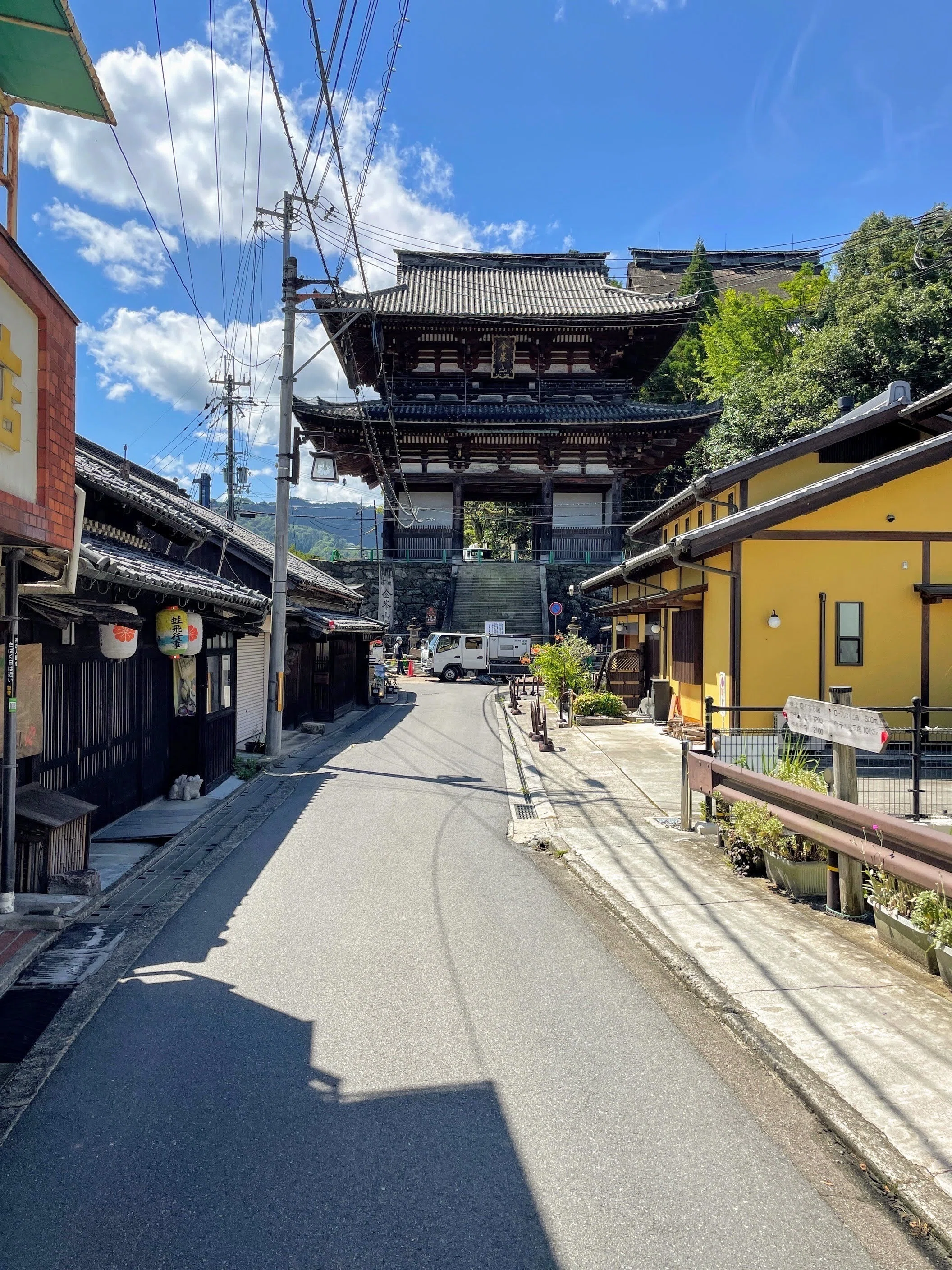 特別公開 金峯山寺仁王門 金剛力士立像 ／奈良国立博物館｜美術館と
