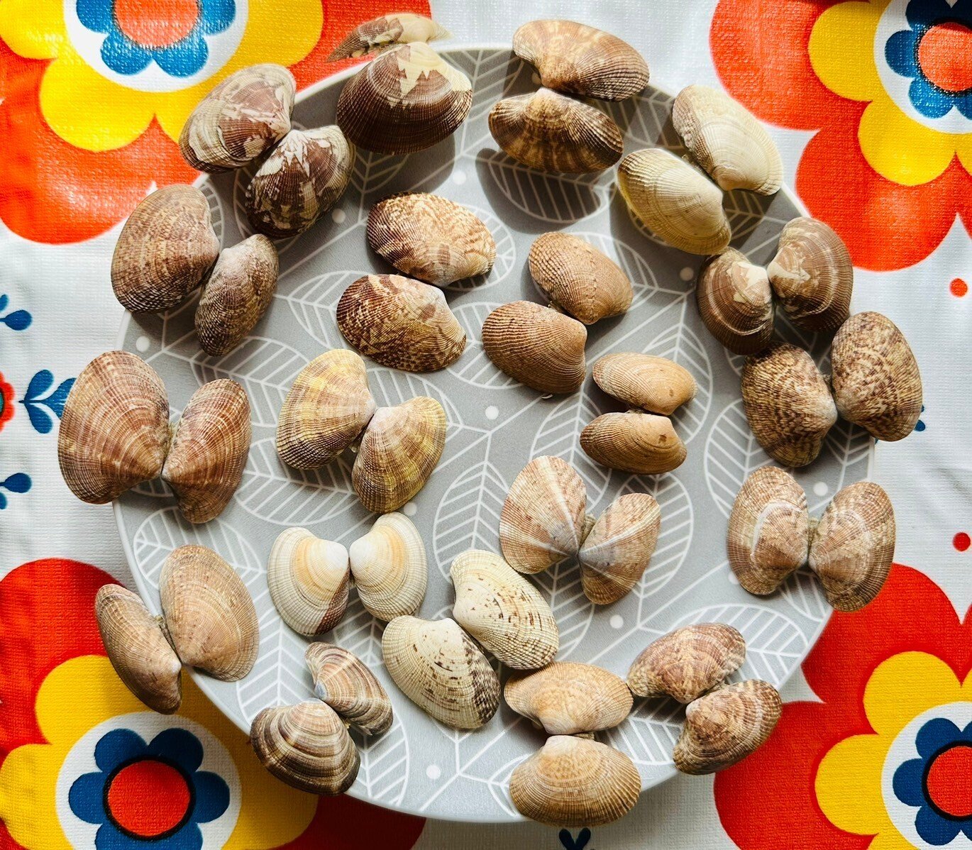 ♡\"あさりあ\" お取り置き♡ あさりちゃん (18) (てんとう虫コミックス) | 室山 まゆみ |本 | 通販