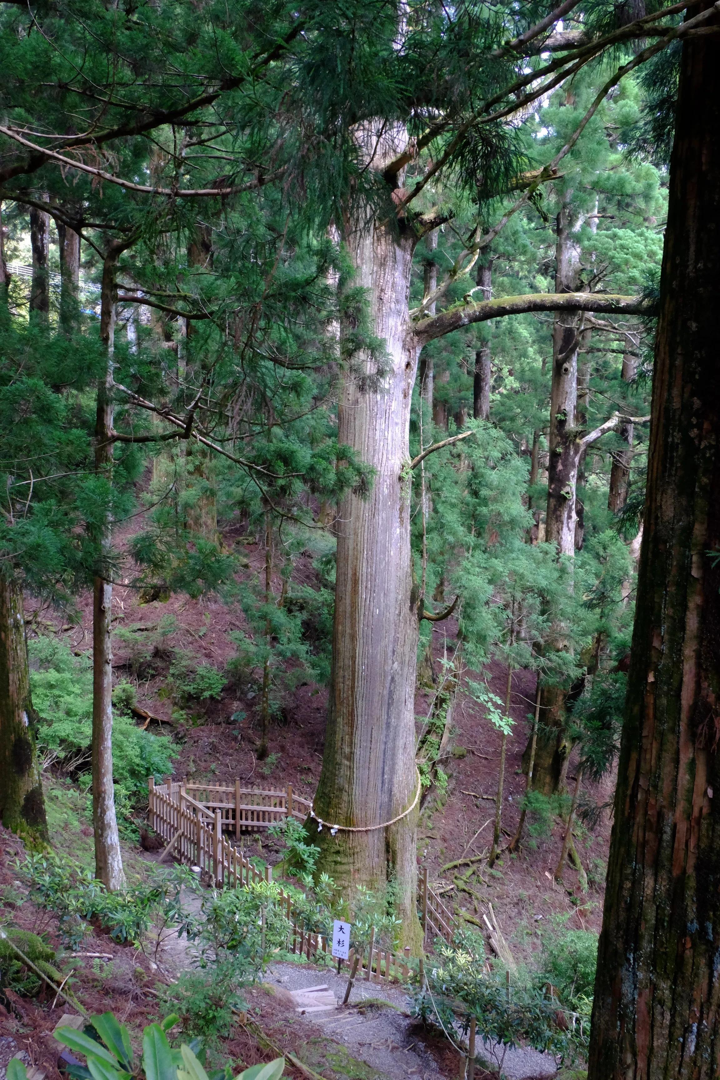 熊野三山の奥の院、玉置神社｜tabito