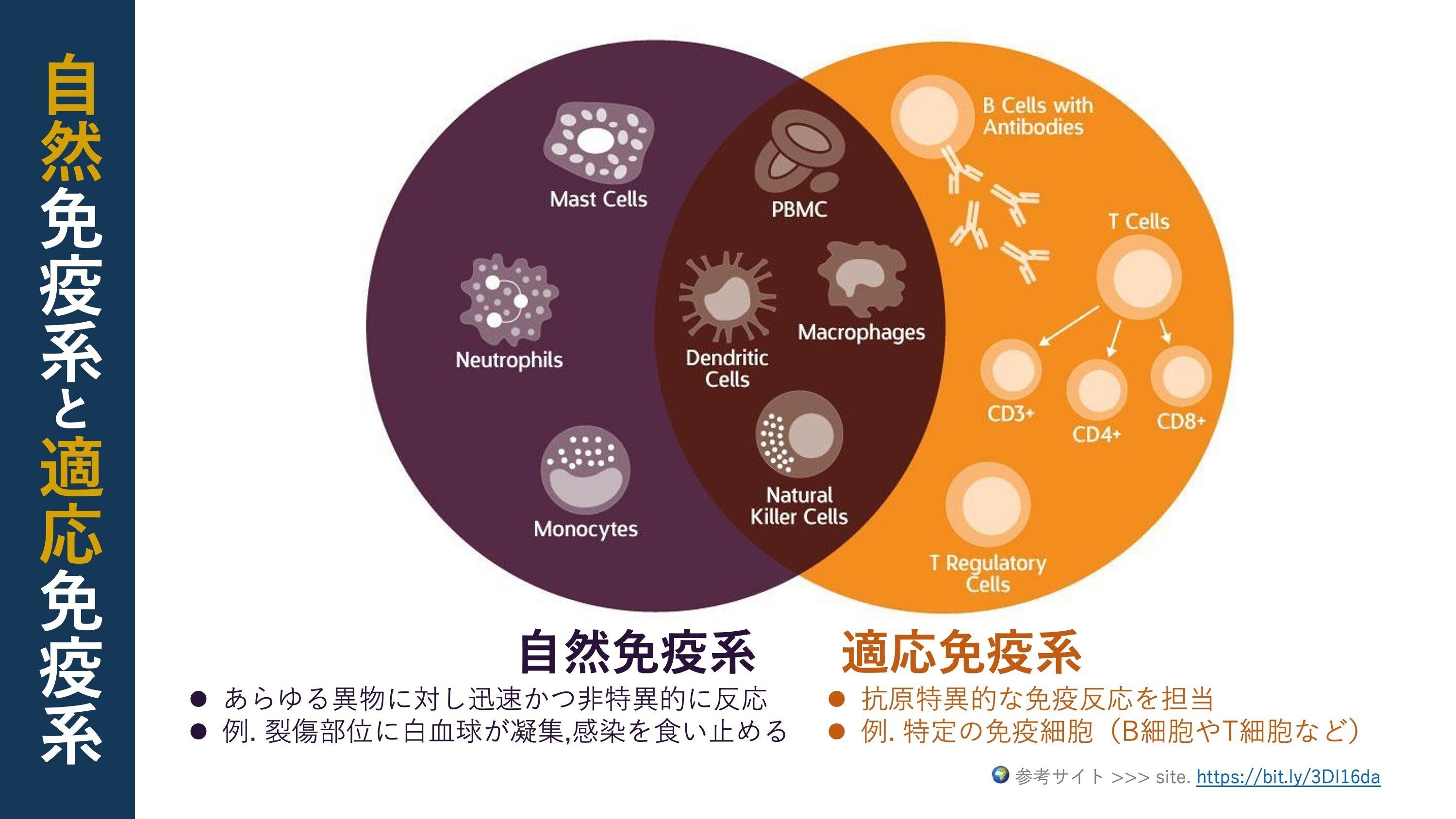 理学療法学 2014〜2018 理学療法 Vol.37 No.1 (発売日2020年01月28日) | 雑誌/定期購読
