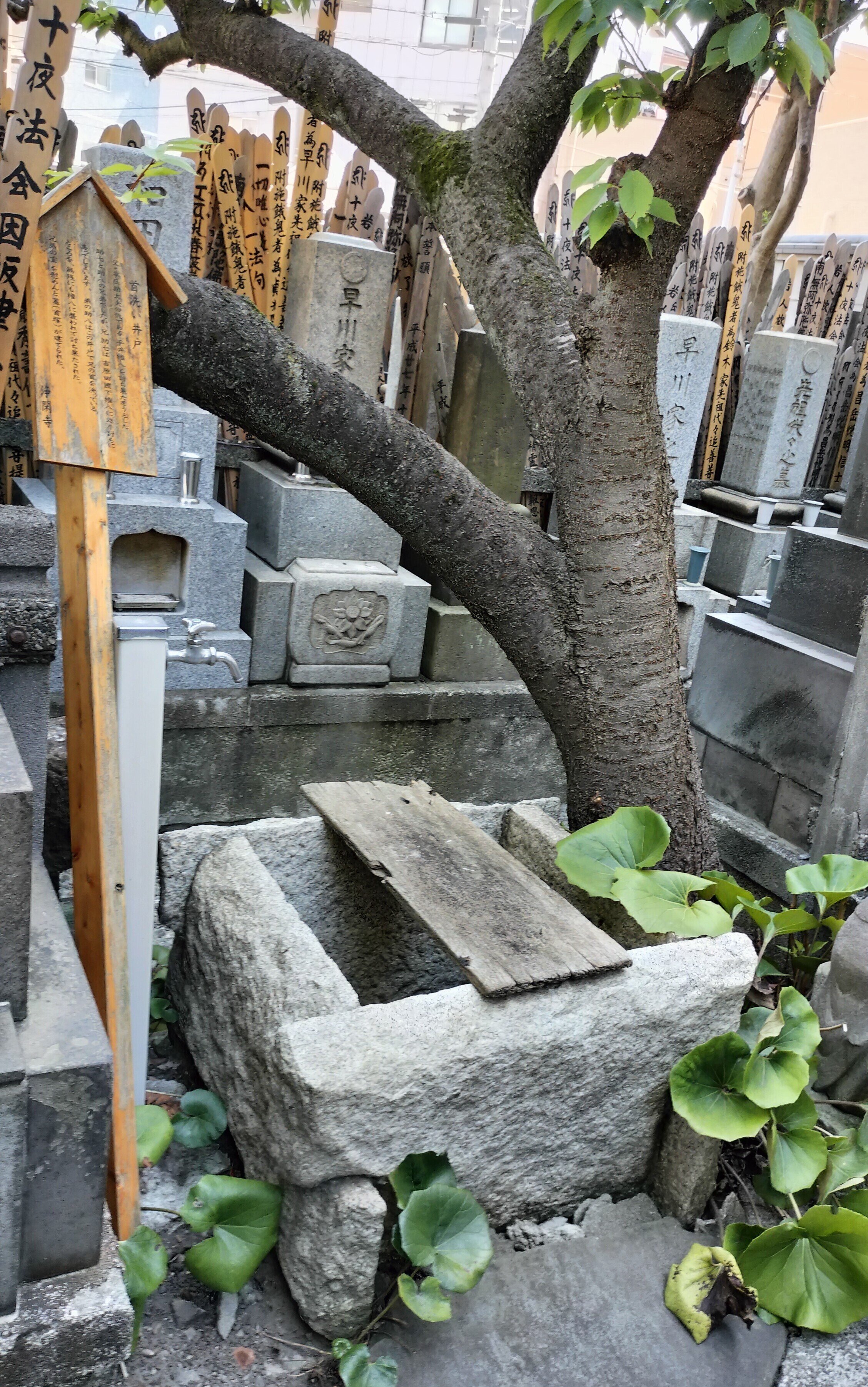 お江戸☆吉原遊廓ゆかりの寺社巡り🙏｜kataha