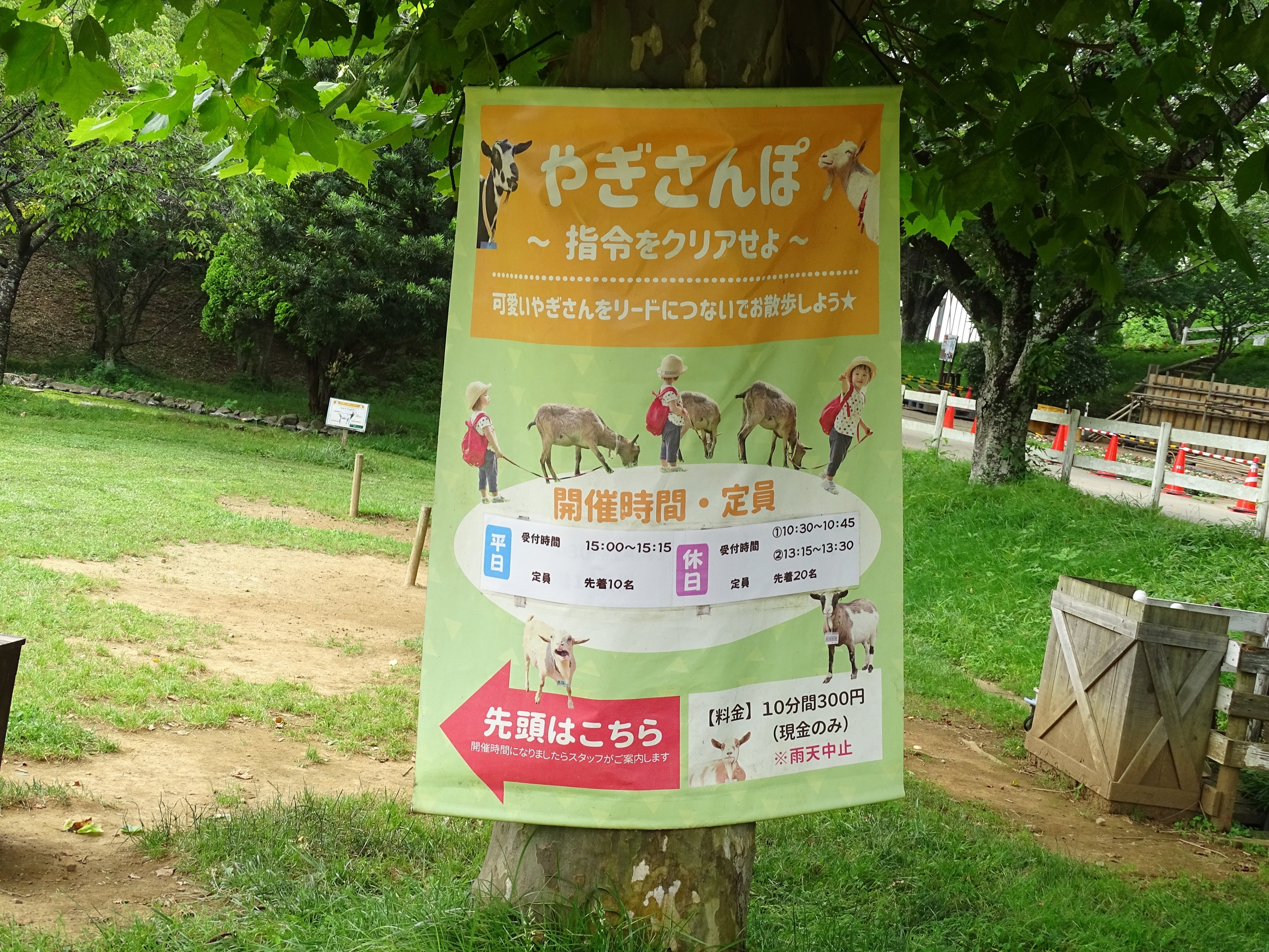 ZASO:170】千葉県 #成田ゆめ牧場｜ZASOちゃんねる