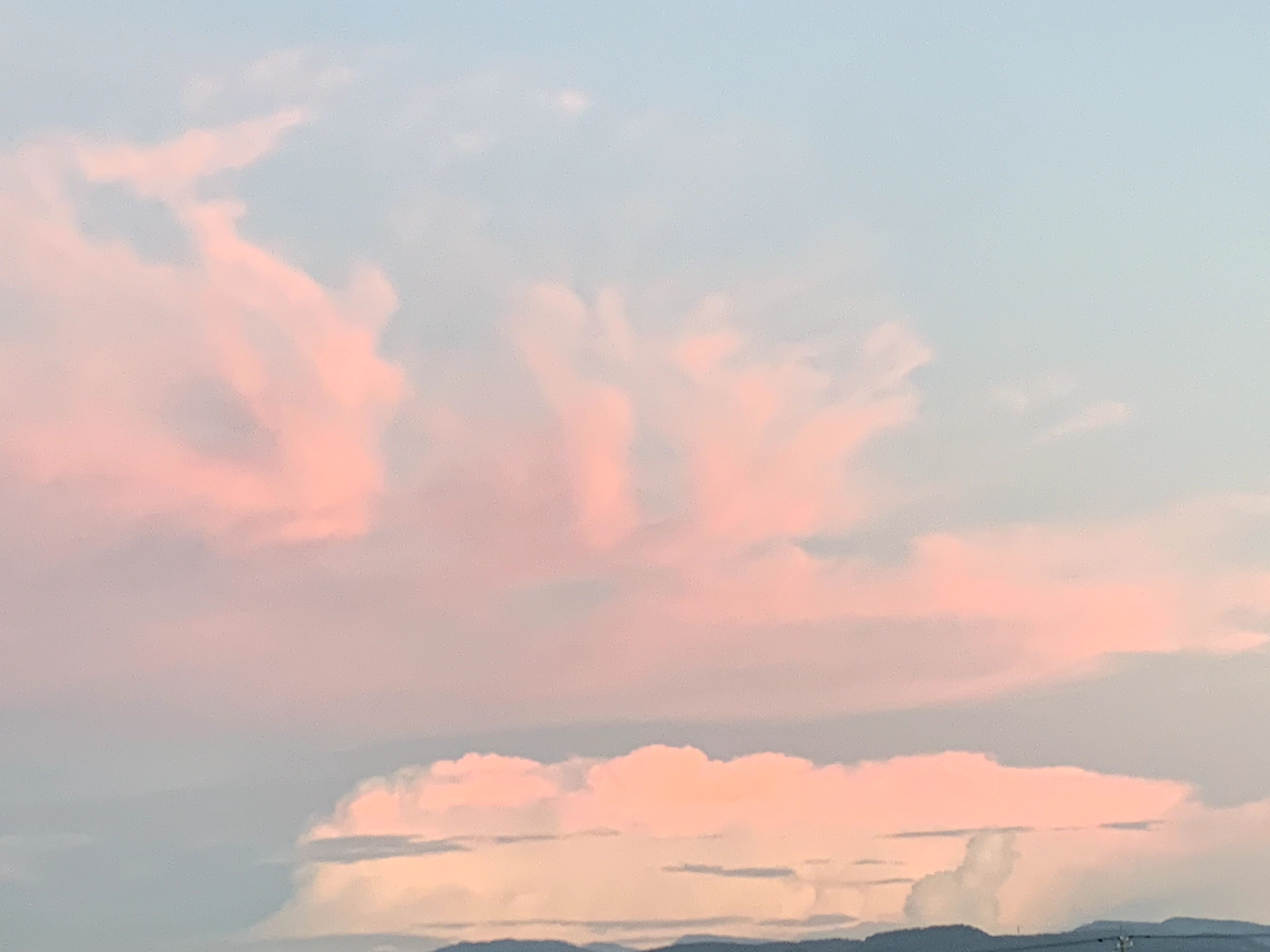 薔薇色の雲｜yasu