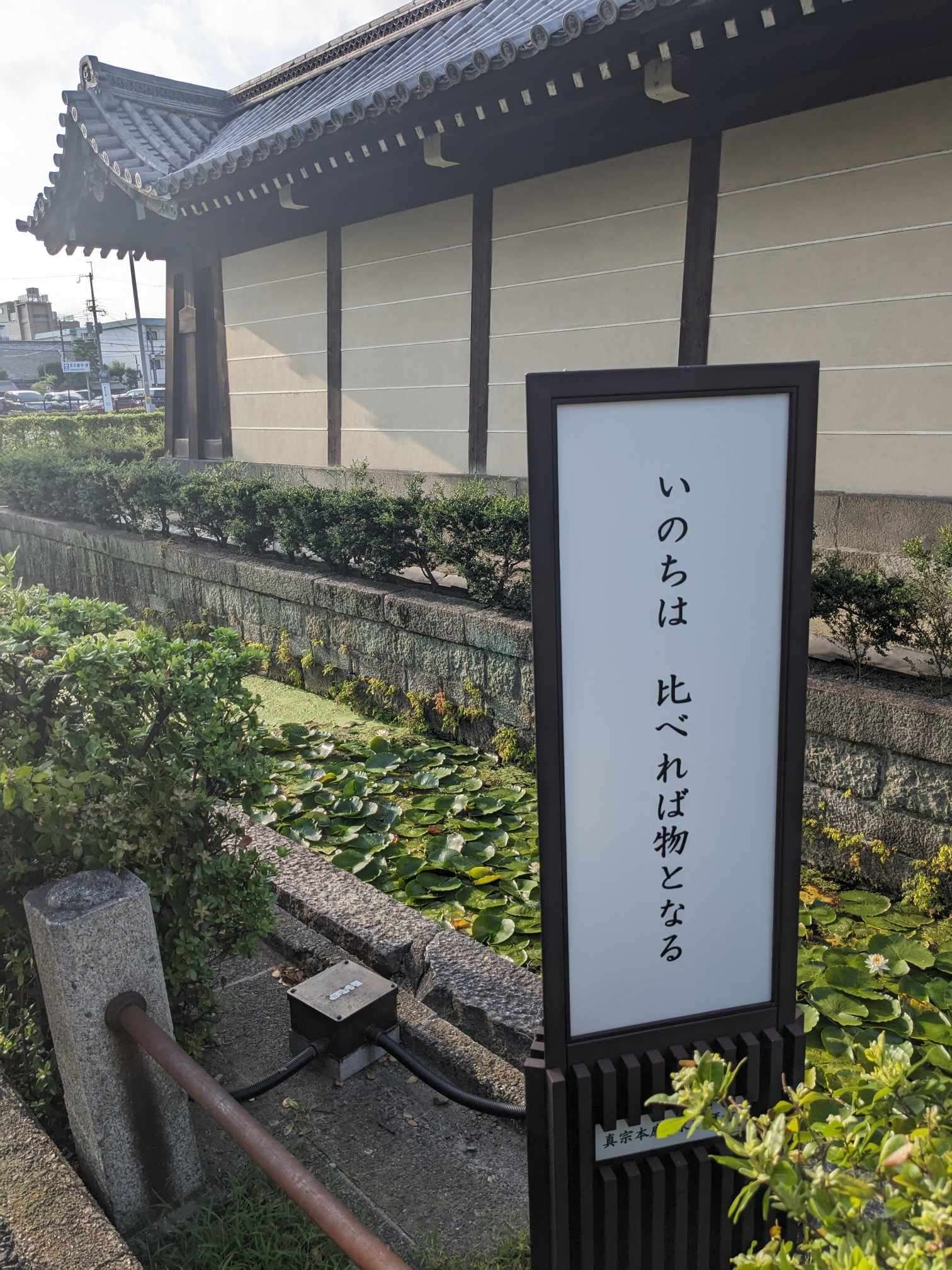 8月6日朝の京都散歩/東本願寺|三宅紘一郎/ナオライ 8月6日朝の京都散歩/東本願寺|三宅紘一郎/ナオライ