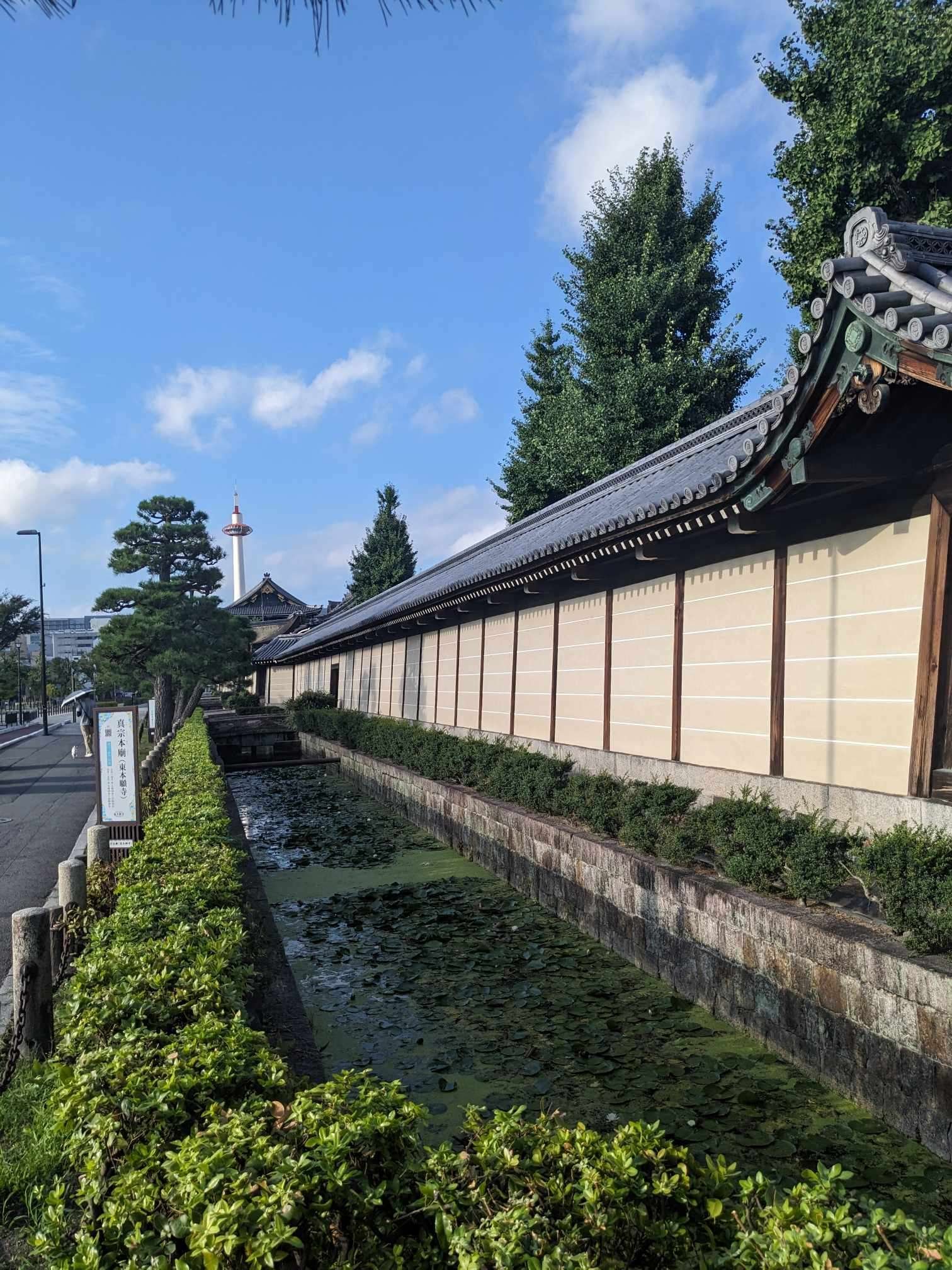 8月6日朝の京都散歩/東本願寺|三宅紘一郎/ナオライ 8月6日朝の京都散歩/東本願寺|三宅紘一郎/ナオライ
