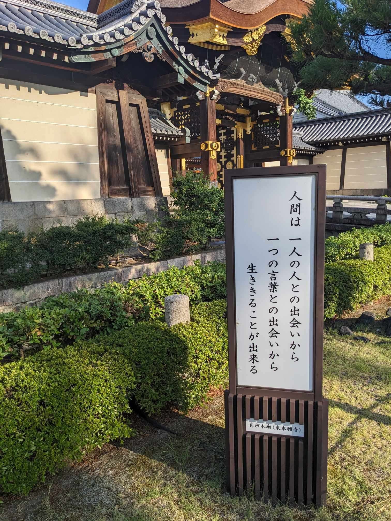 8月6日朝の京都散歩/東本願寺|三宅紘一郎/ナオライ 8月6日朝の京都散歩/東本願寺|三宅紘一郎/ナオライ