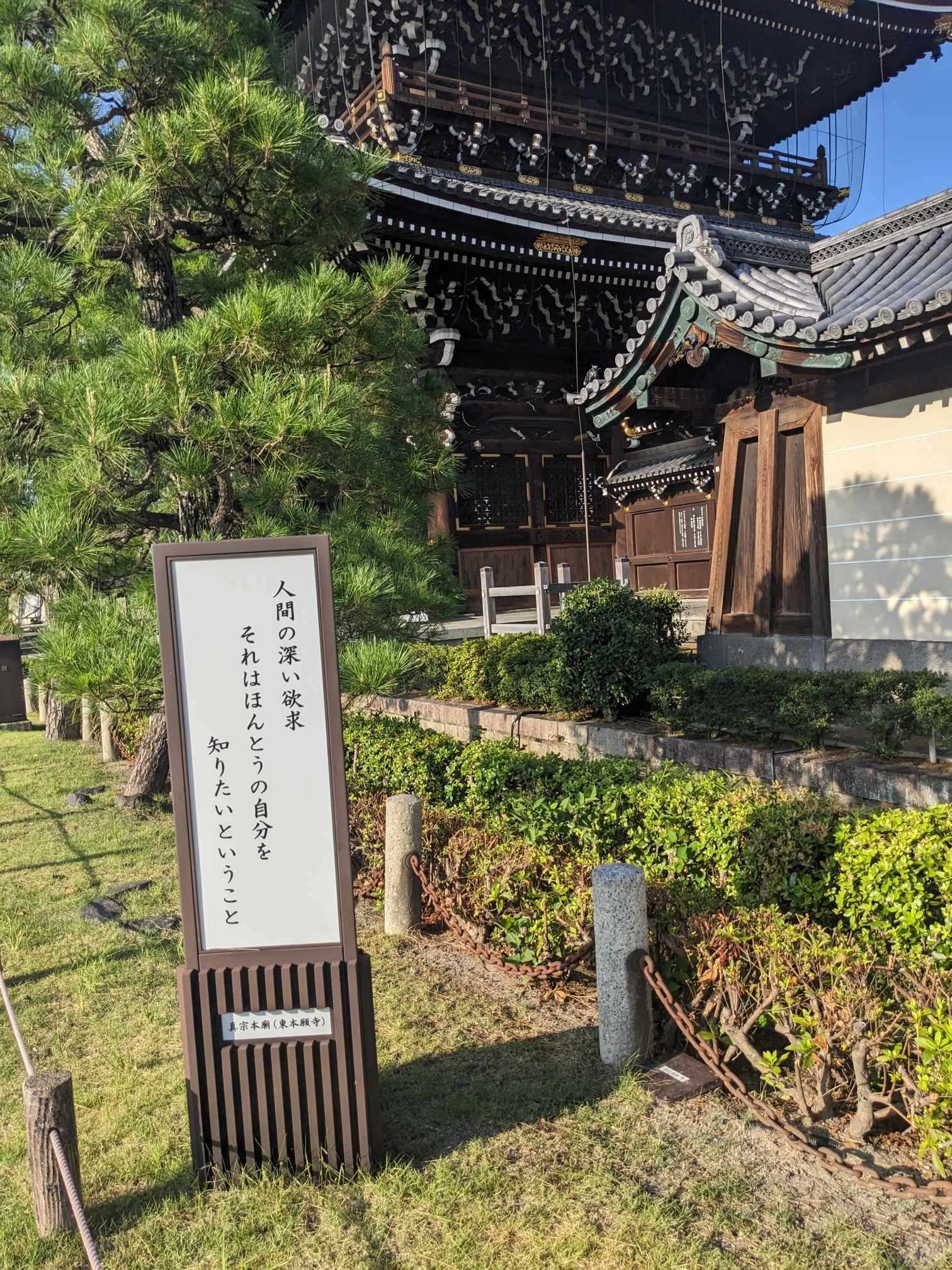 8月6日朝の京都散歩/東本願寺|三宅紘一郎/ナオライ 8月6日朝の京都散歩/東本願寺|三宅紘一郎/ナオライ