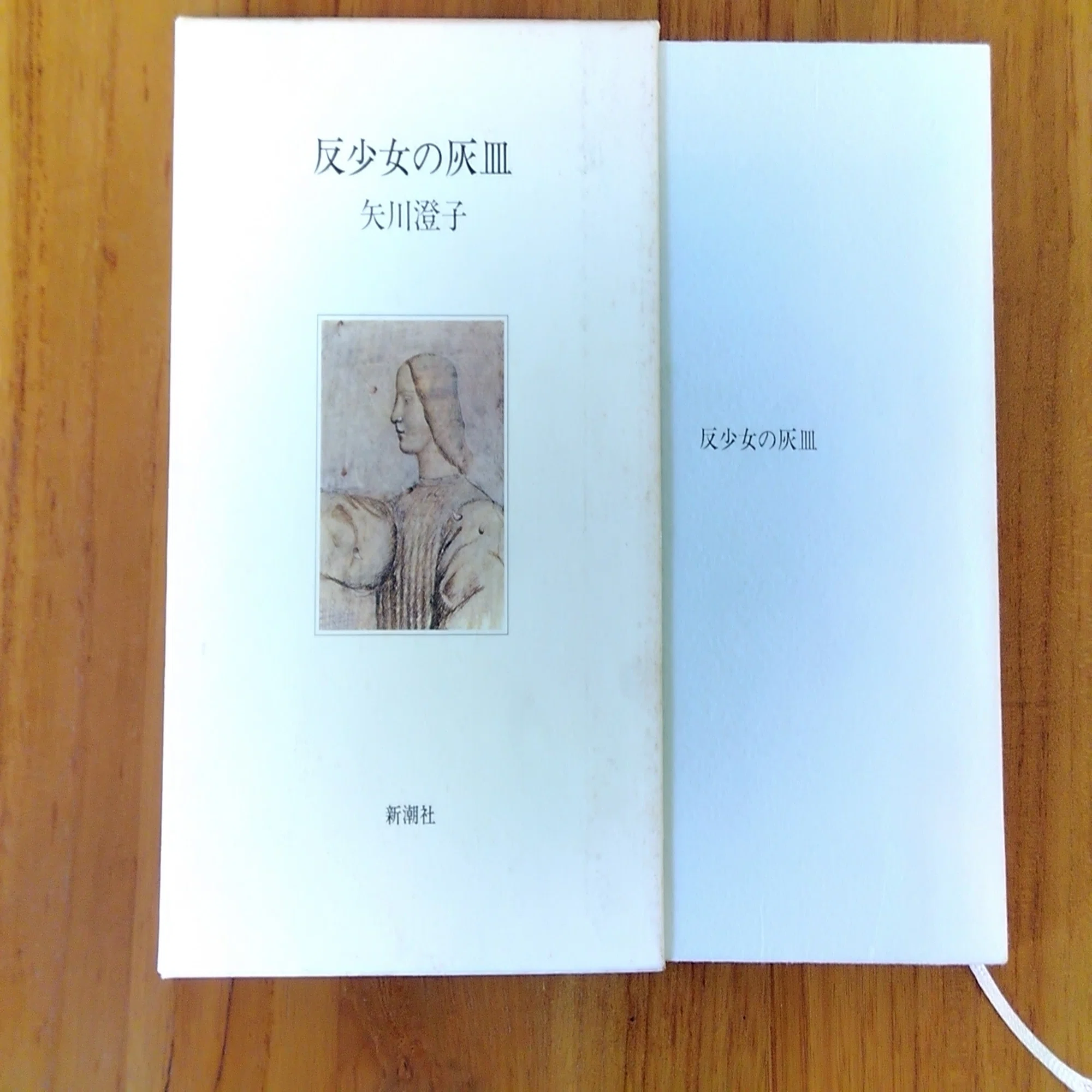 よんだ「反少女の灰皿」矢川澄子 著（新潮社 1981）｜舶来おさむ（naka）