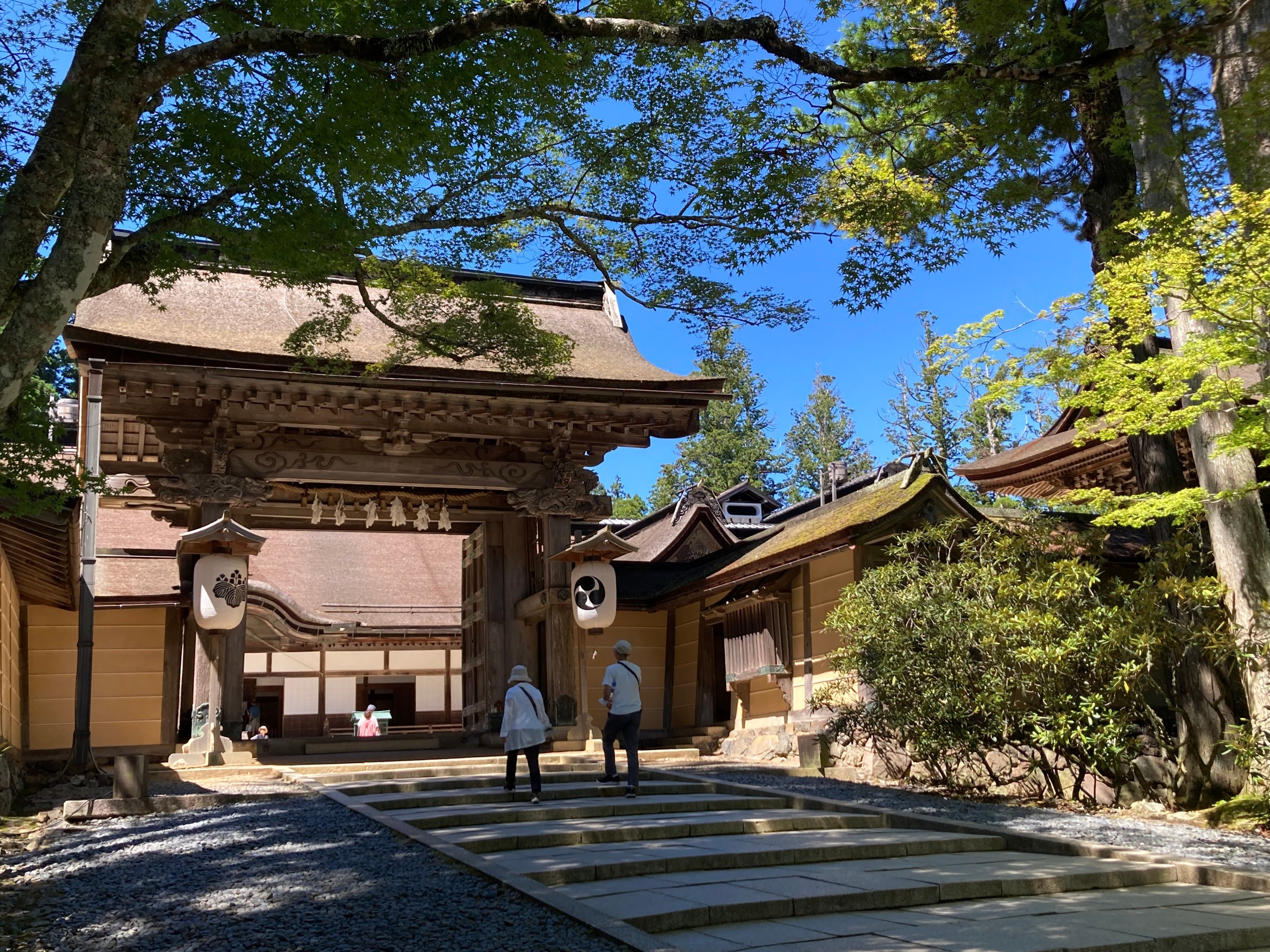 書画　扁額　長三州流　真宗出雲路派本山 毫攝寺第34代善解上人の金粉の書 模写】【一灯】pp9828〈庄野琳真〉書 高野山真言宗金剛峯寺395代座主