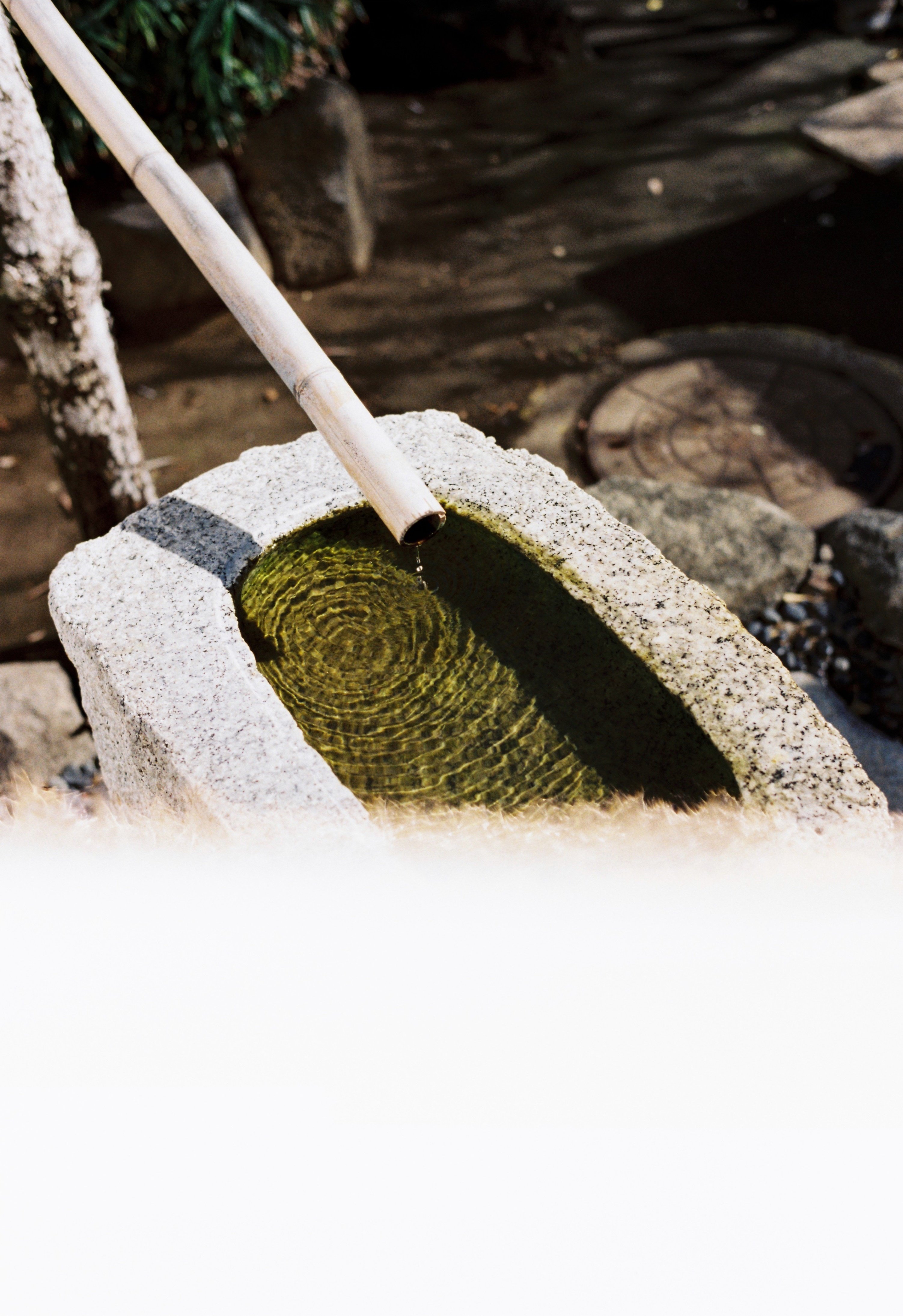 LEICA M4】これまでのスナップ｜Yoshimin📸(ライカスキー)