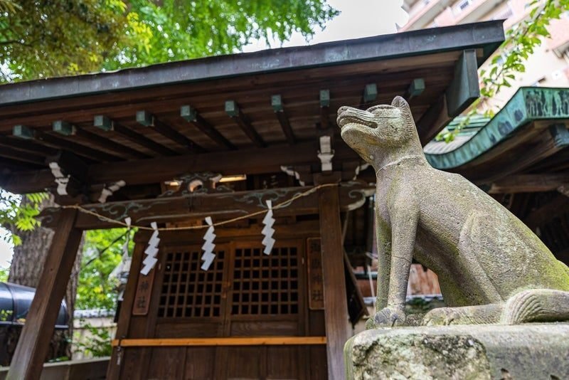 江戸期・山岳信仰「山神様」熊野信仰・大山津見神・大山祇命・山中祠祀り・木彫 狼-3 大山祇命の狼
