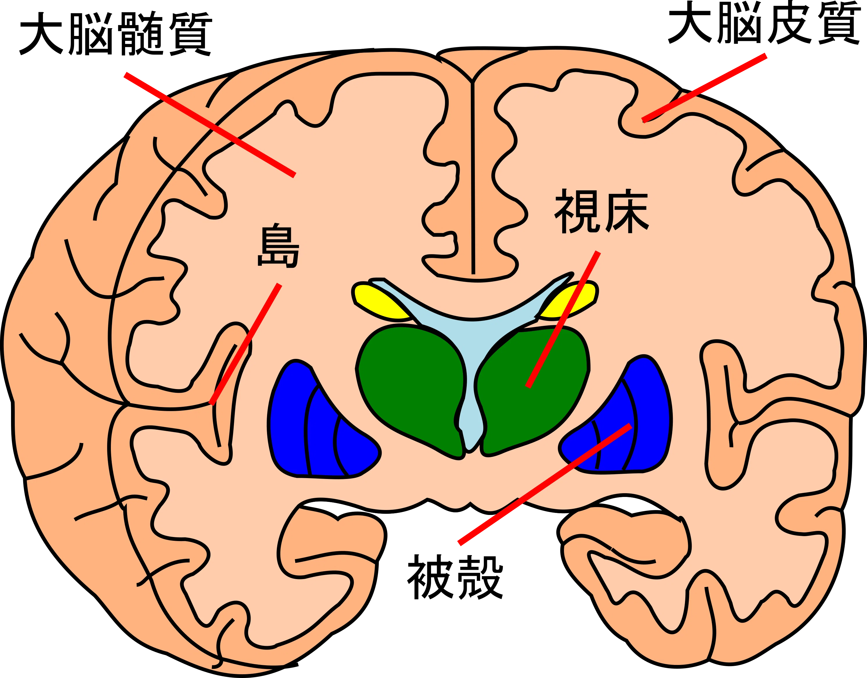 1691413136363-BdkP4UIei8.png