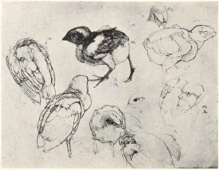 め*ぃ様 「 願いが羽ばたくとき 」 ｜絵画 原画 抽象画 動物画 ドローイング 吉田博 講義録「動物画法」「ペン画毛筆画」1932-1934年｜kotoyo_sakiyama