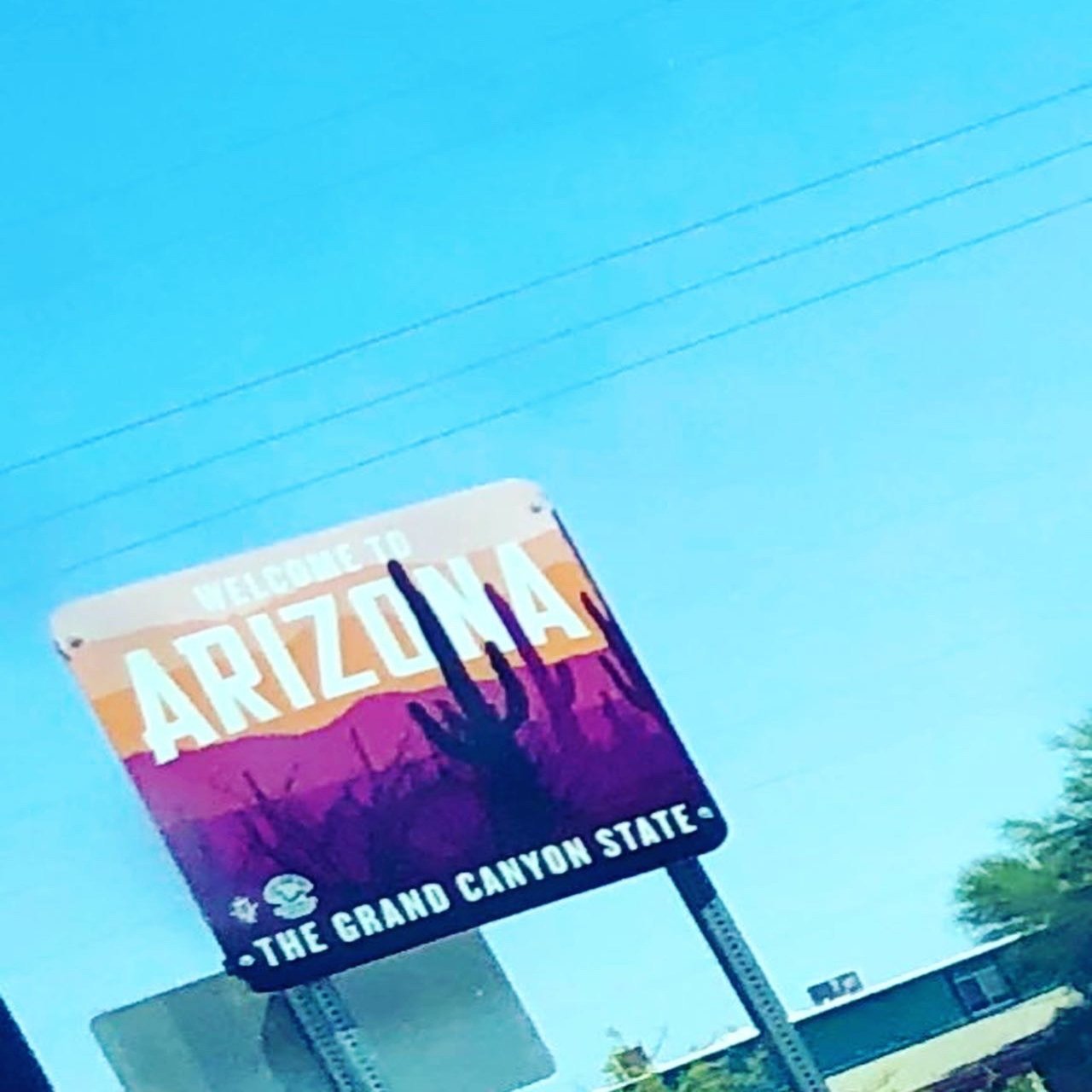 アメリカ生活が始まって１１か月が経ちました ～カリフォルニア→アリゾナ州への引っ越し～｜アメリカ駐妻ピムタ