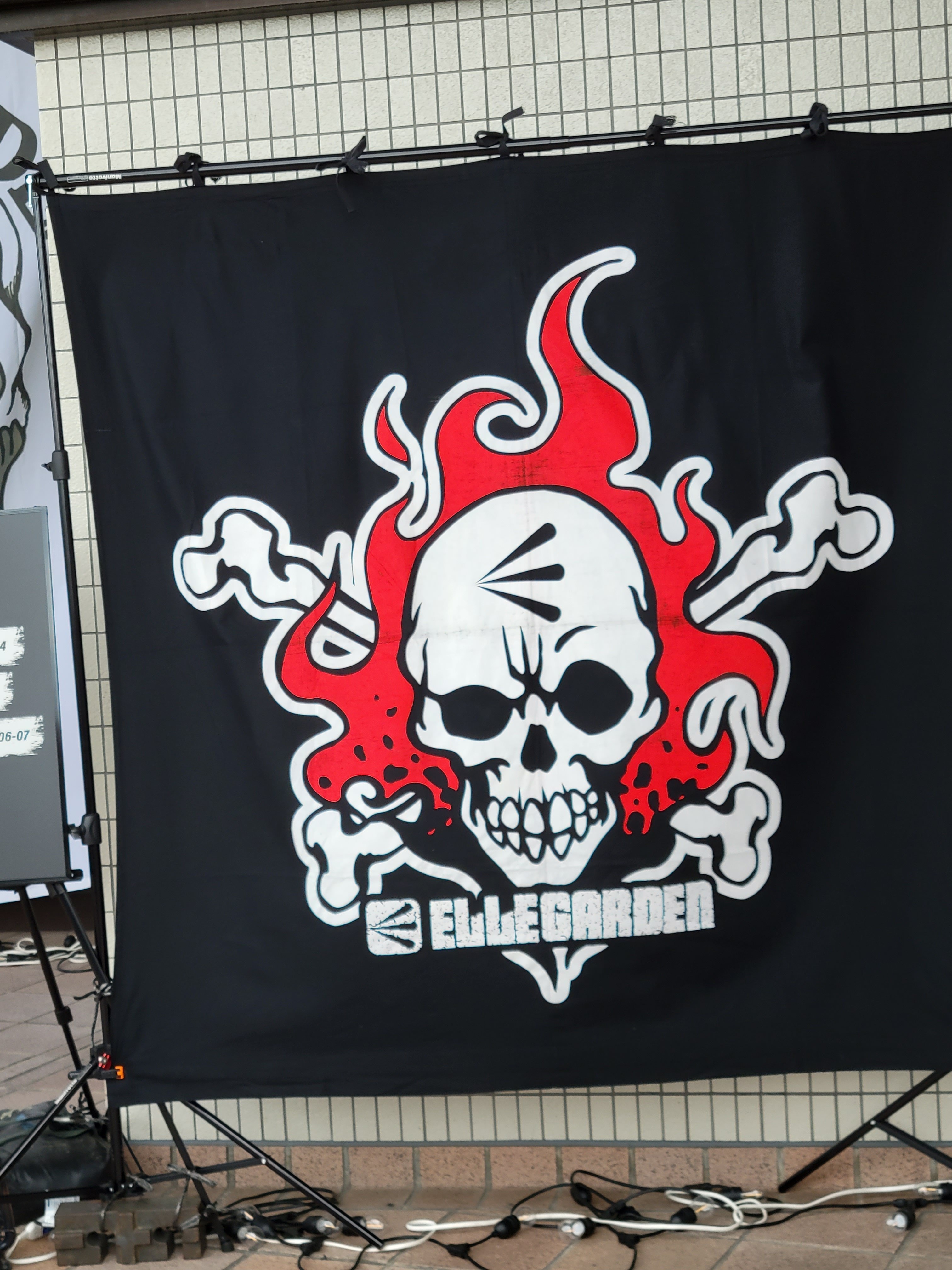 ELLEGARDEN ポスター Salamander エルレガーデン おまけ付き ELLEGARDEN ポスター Salamander エルレガーデン おまけ付き