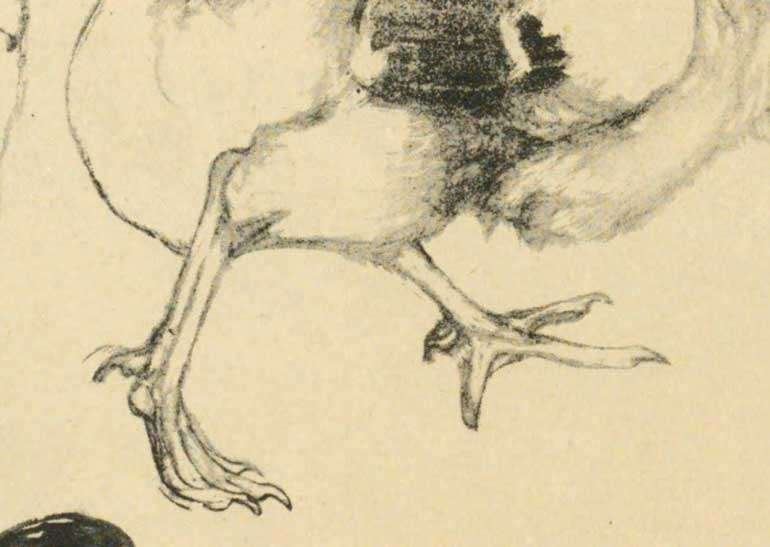 吉田博 講義録「動物画法」「ペン画毛筆画」1932-1934年｜kotoyo_sakiyama