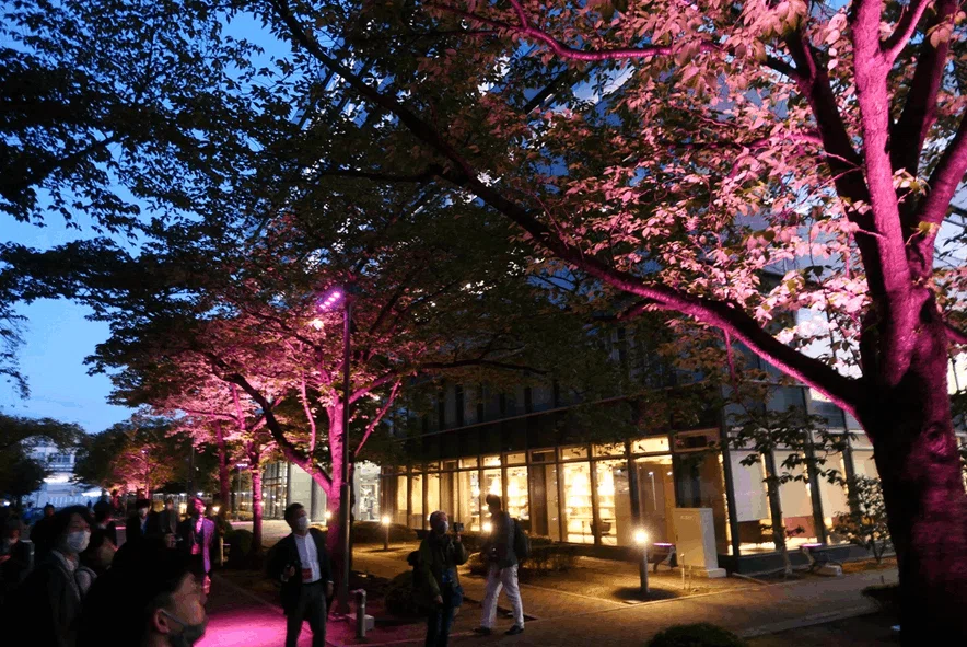 あなたの街の夜景が話題スポットに!?照明で演出する新しい街 あなたの街の夜景が話題スポットに!?照明で演出する新しい街