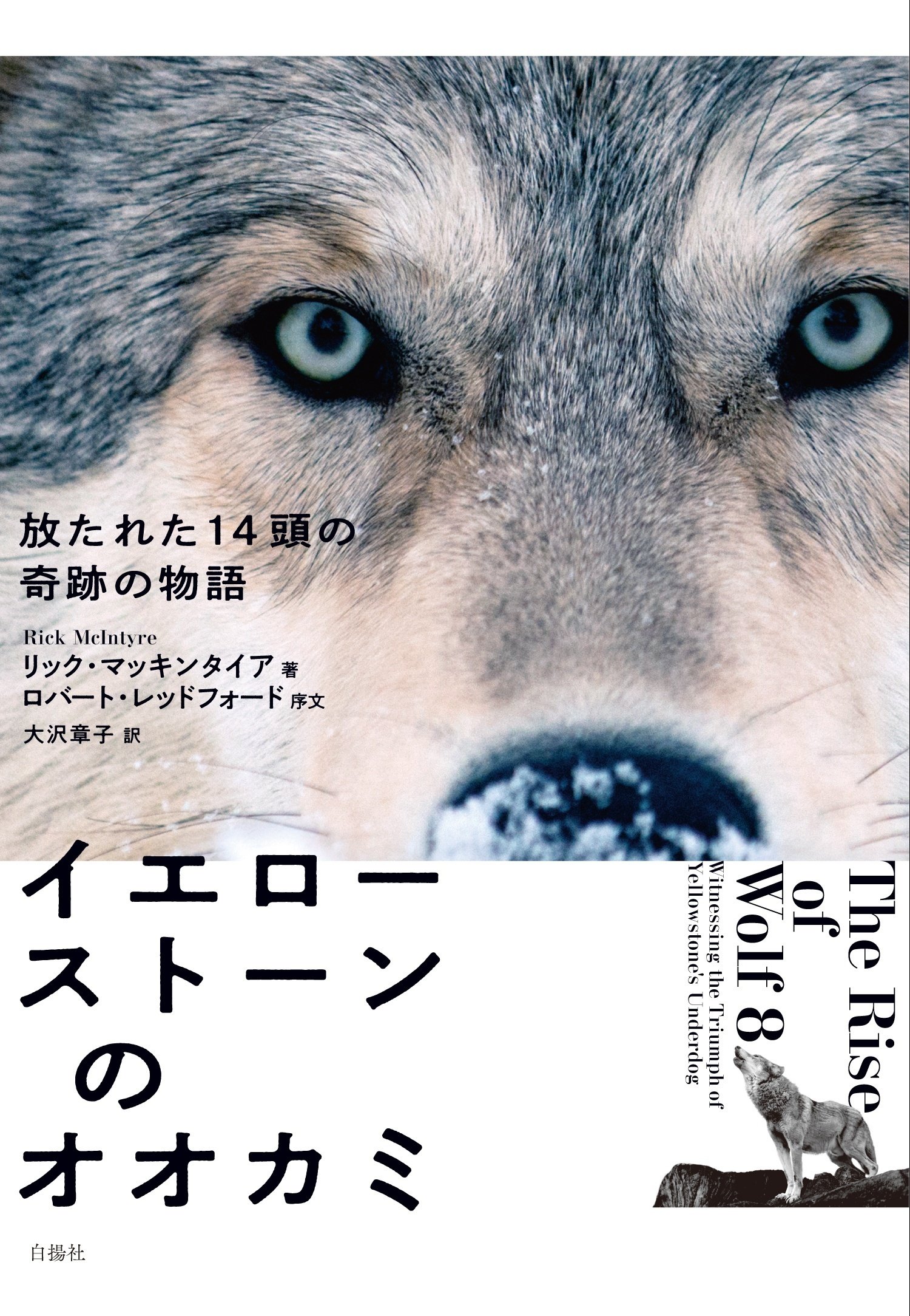 試し読み】『イエローストーンのオオカミ』1995年、14頭の