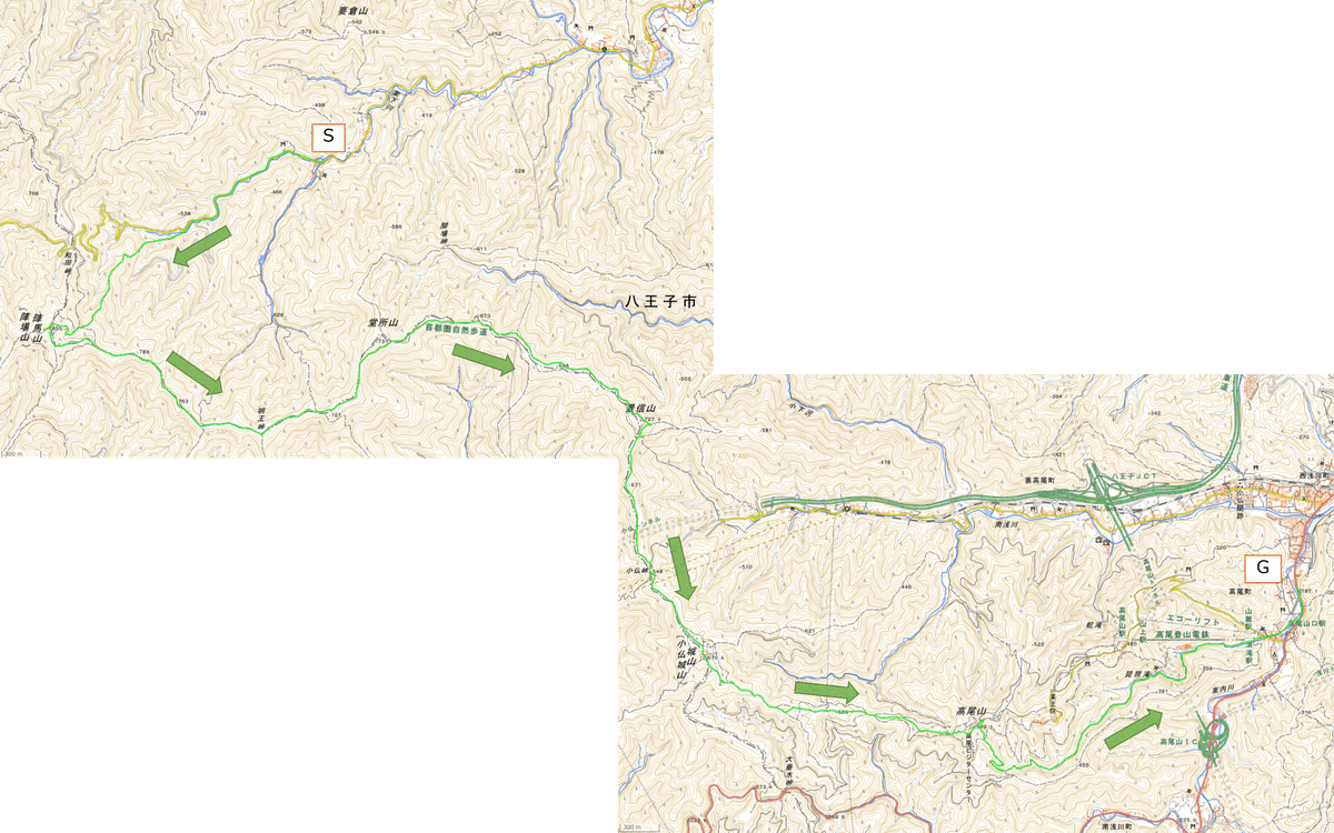 奥多摩・奥武蔵―陣馬高原 高尾山 (アルパインガイド (36)) 奥多摩・奥武蔵―陣馬高原 高尾山 (アルパインガイド (36))