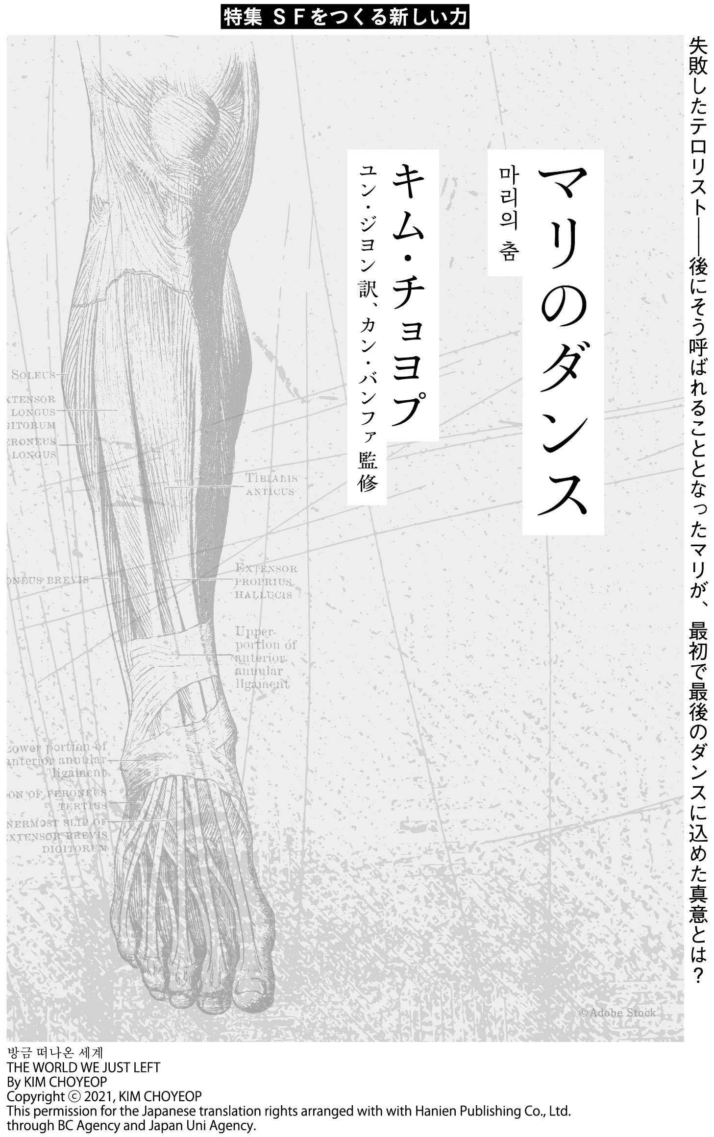 【中古】 表示登記重点サブノート 短期決戦総仕上げ ２００１年度版/早研/深田静夫 若手臨床医サブノート 治療計画・治療順序編 | 栗原 仁, 佐藤