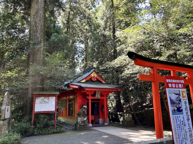 九頭龍神社参拝の後、そのまま箱根神社に向かいました。写真は箱根神社内に鎮座されている曽我神社。曽我と言えば「杉田梅」そして私が通っている梅園のある所です。このタイミングで「曽我兄弟と箱根信仰」という特別展も開催されており、曽我という場所をより深く知ることもできました。全く想像もしていませんでしたが、まさに「梅紀行」な旅となったのでした。