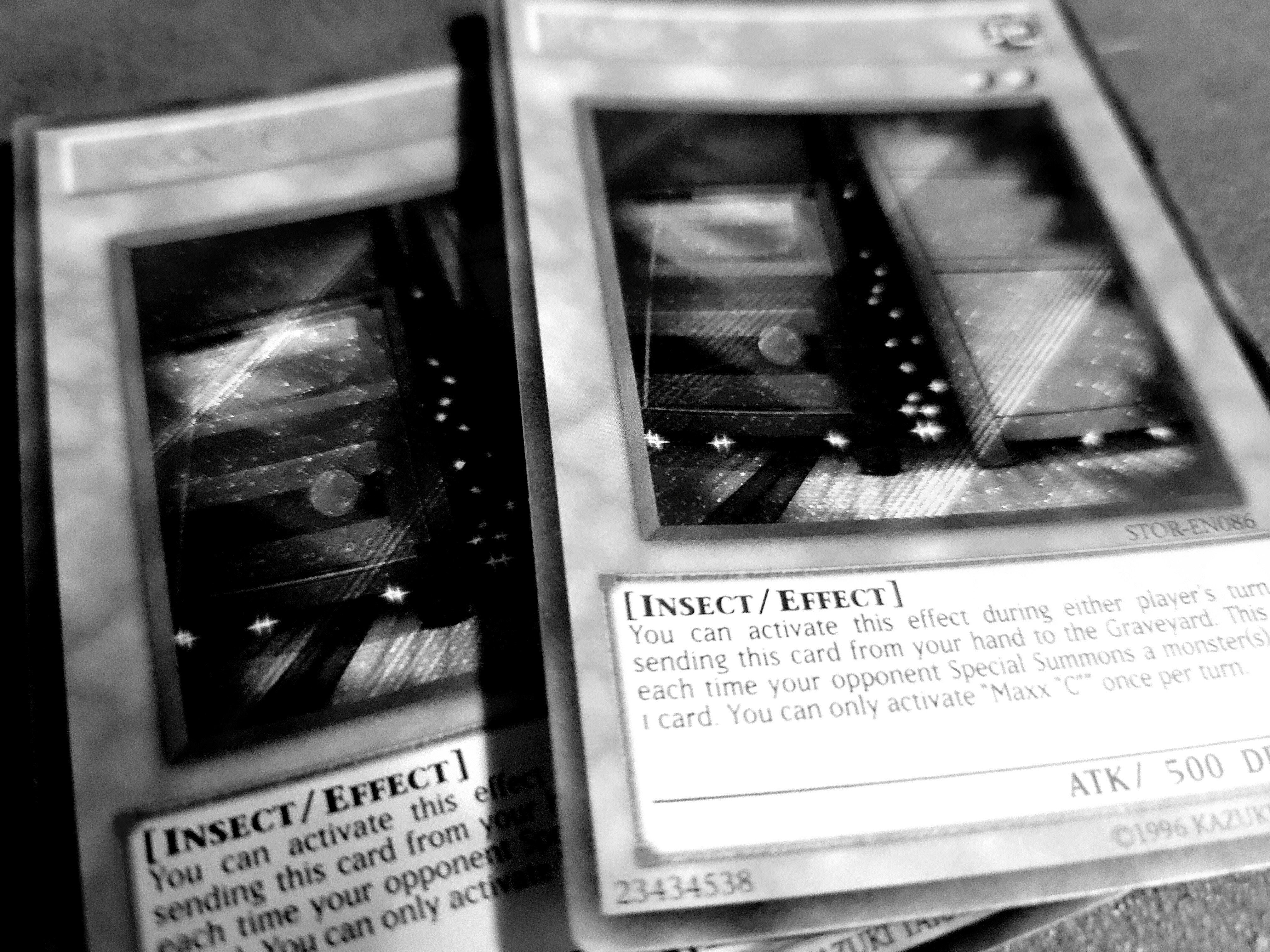 海外の六花の話｜d-j