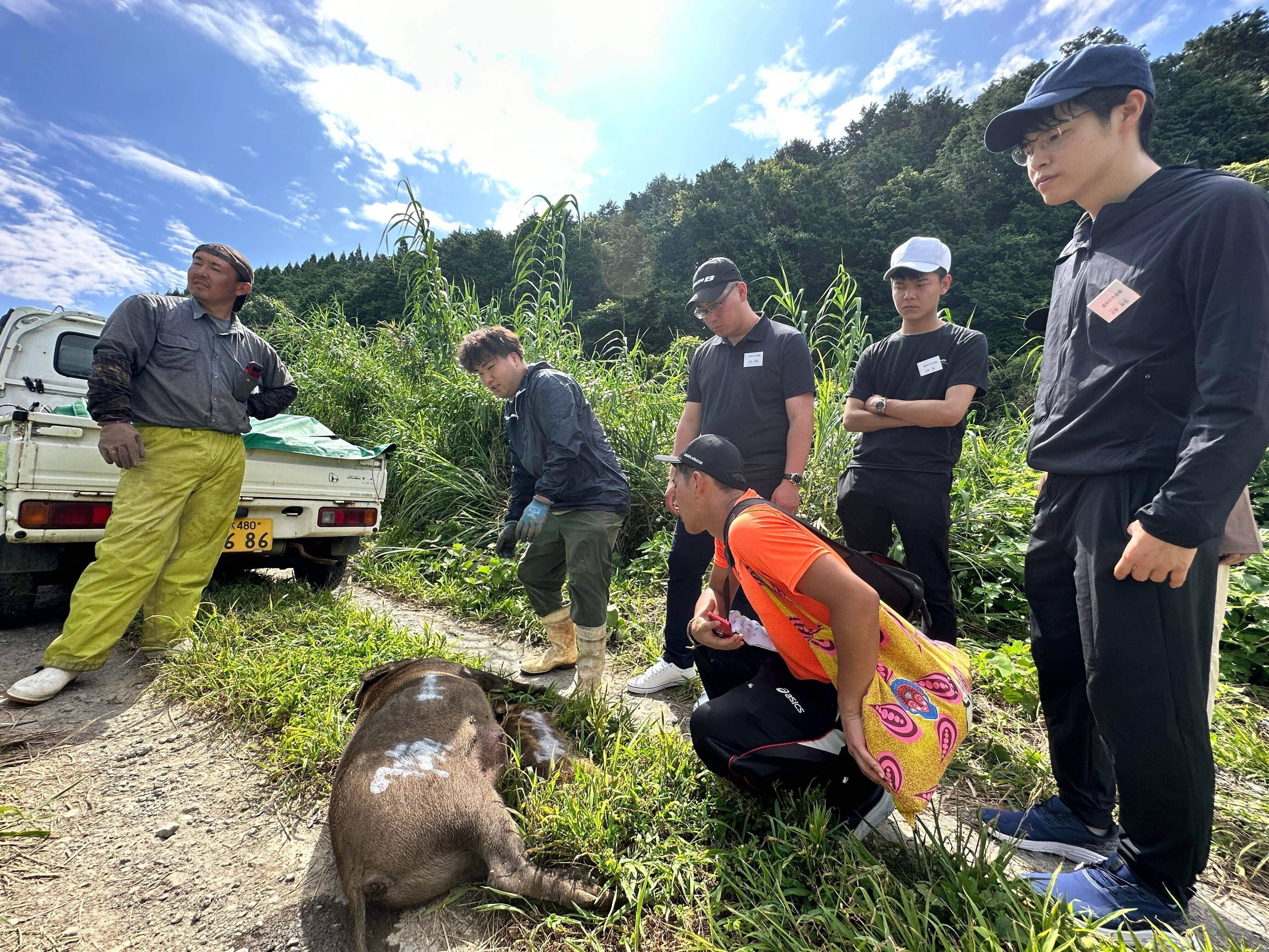 狩猟バッチ 茨城 栃木 千葉 静岡 岩手 狩猟バッチ 茨城 栃木 千葉 静岡 岩手
