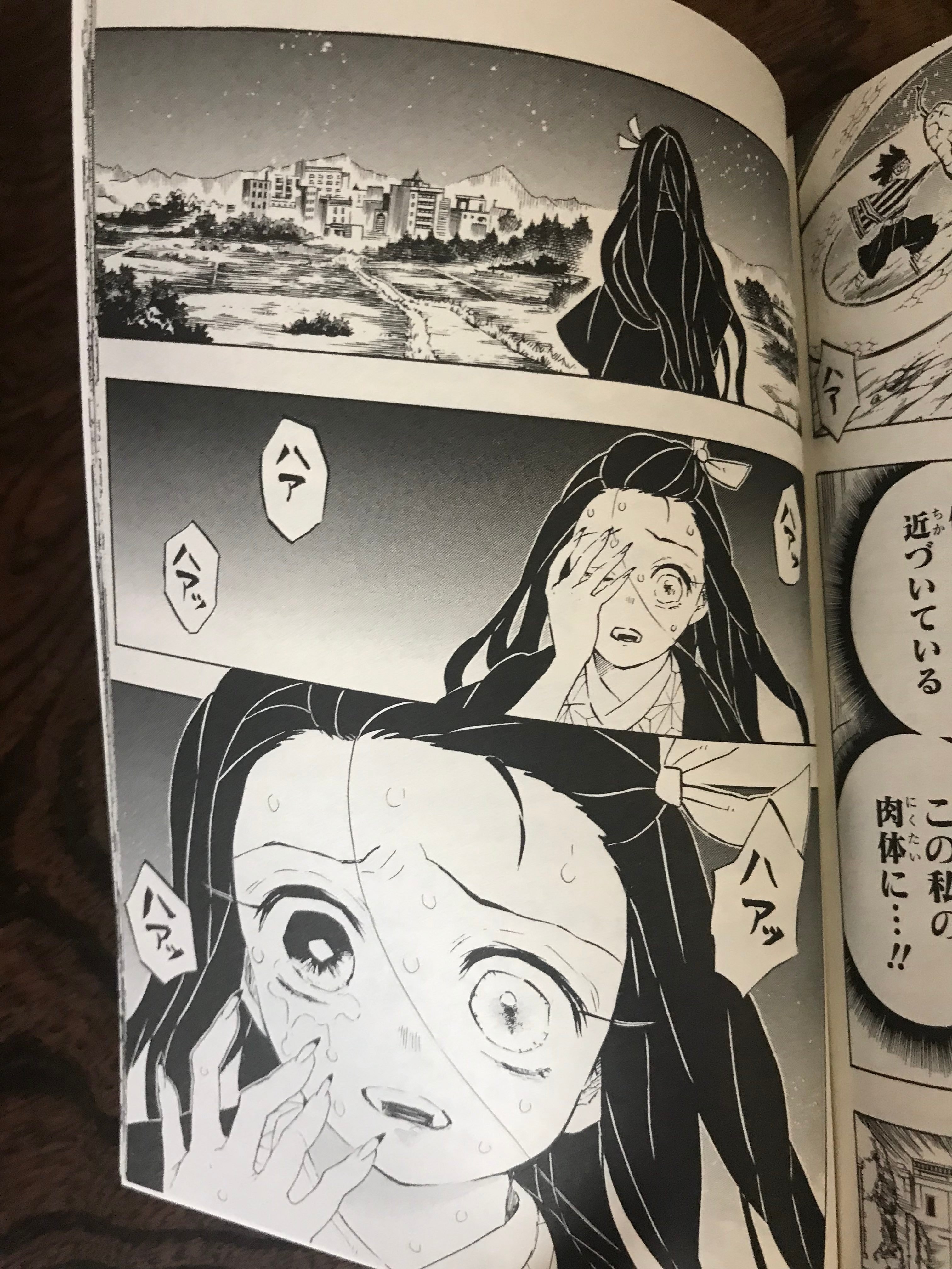 鬼滅の刃 全巻＆フィギュア＆鬼殺隊決闘史 鬼滅の刃 全巻＆フィギュア＆鬼殺隊決闘史