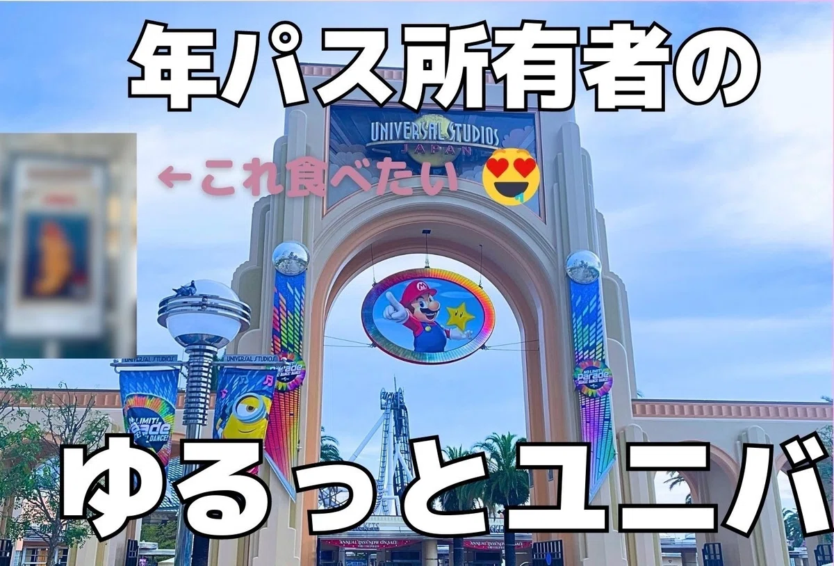 ユニバーサルスタジオ年間パス スタンダード大人一枚 みすぼらしく