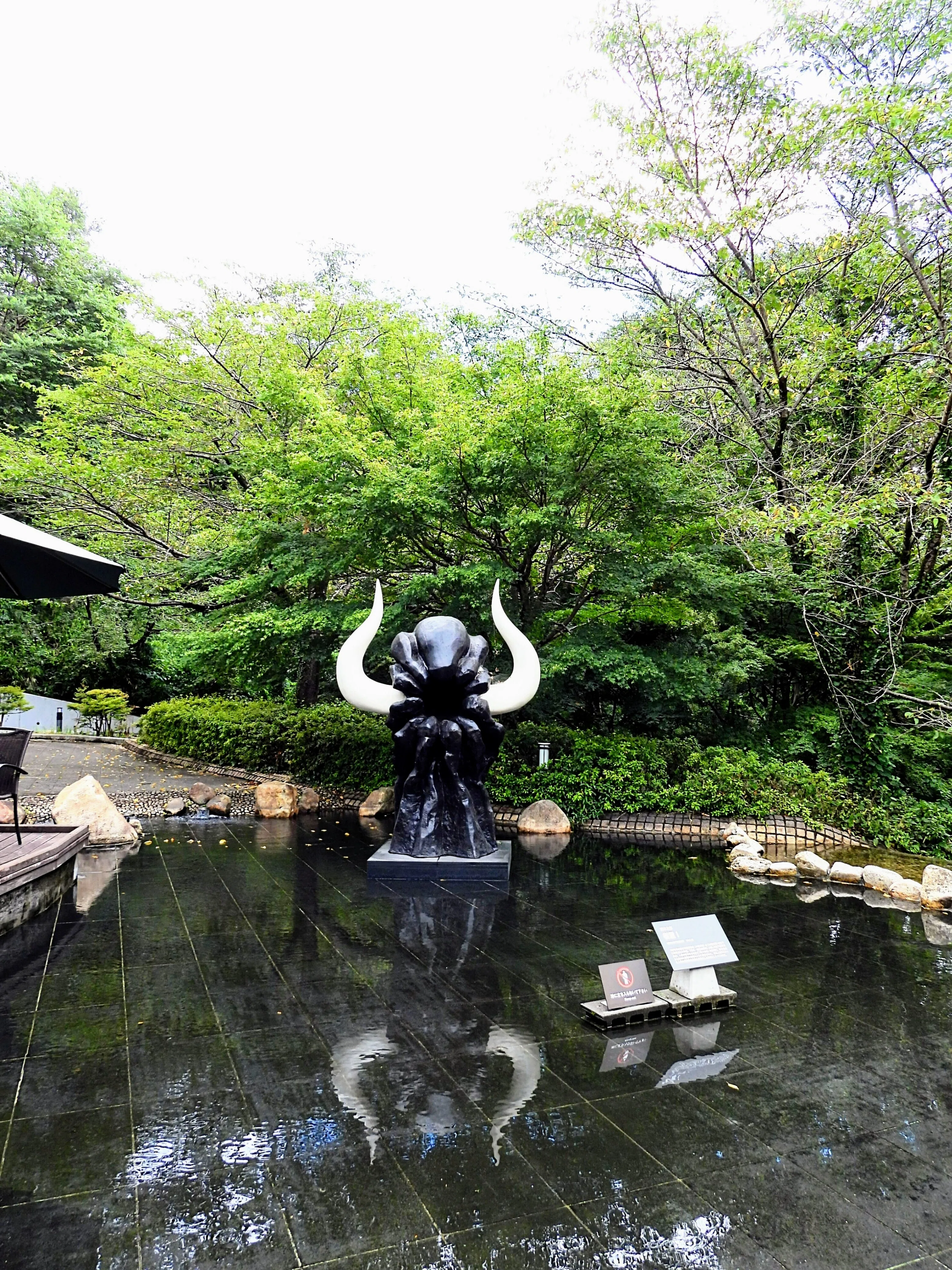 帰ってきました ！！。｜michio