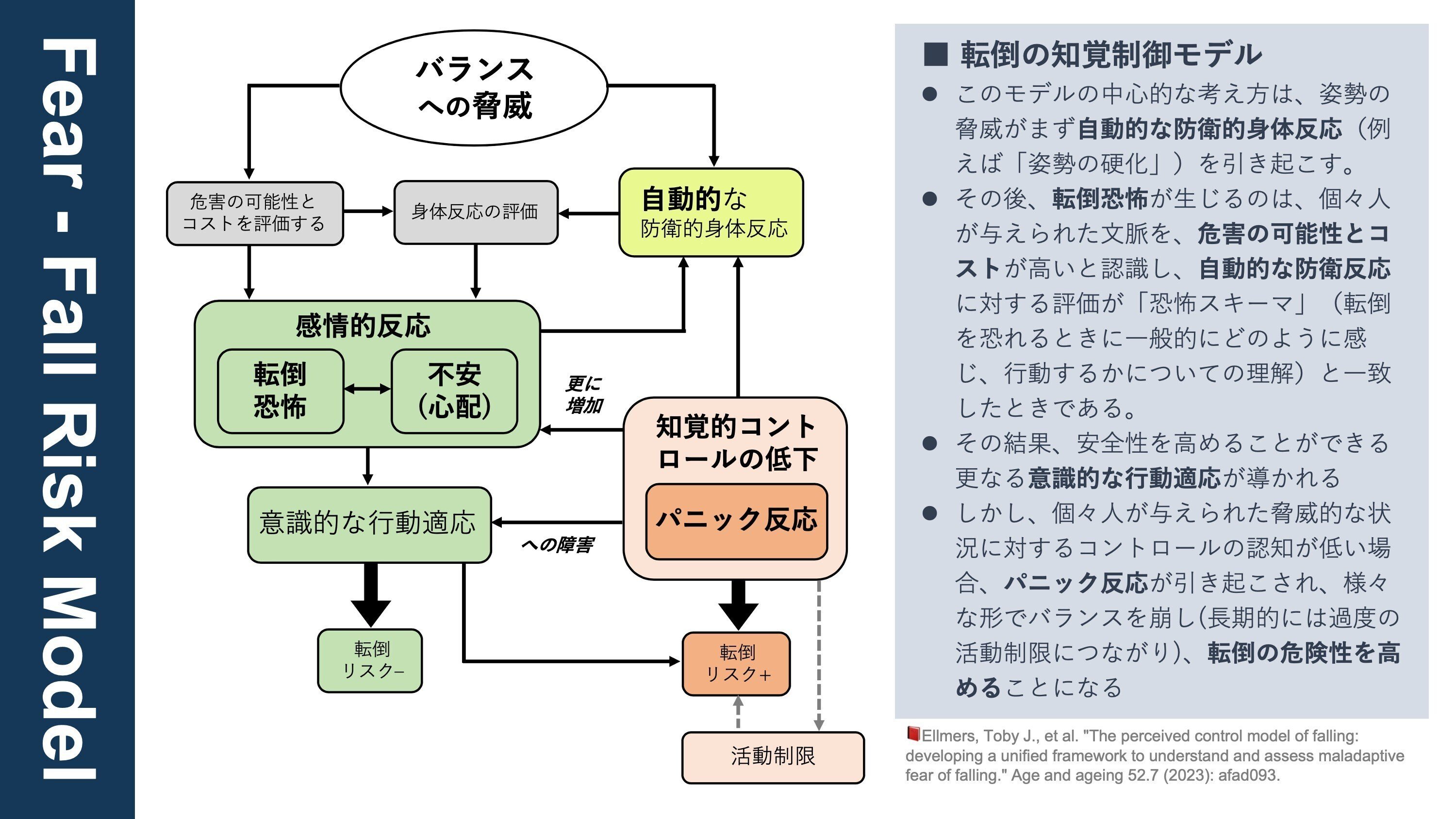 Fear - Fall Risk Model。転倒恐怖が転倒リスクを高める場合
