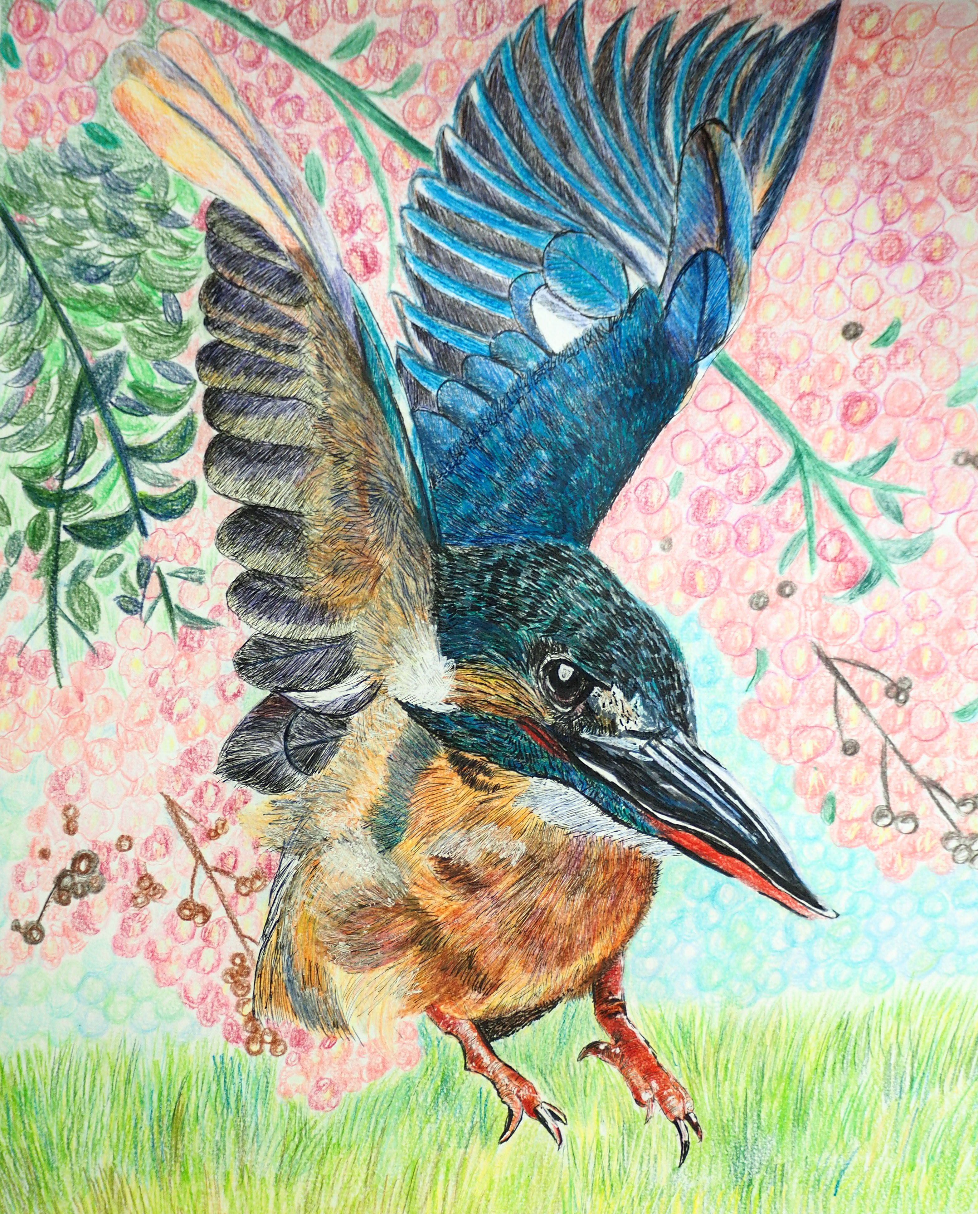 鳥の絵」の人気タグ記事一覧｜note ――つくる、つながる、とどける。
